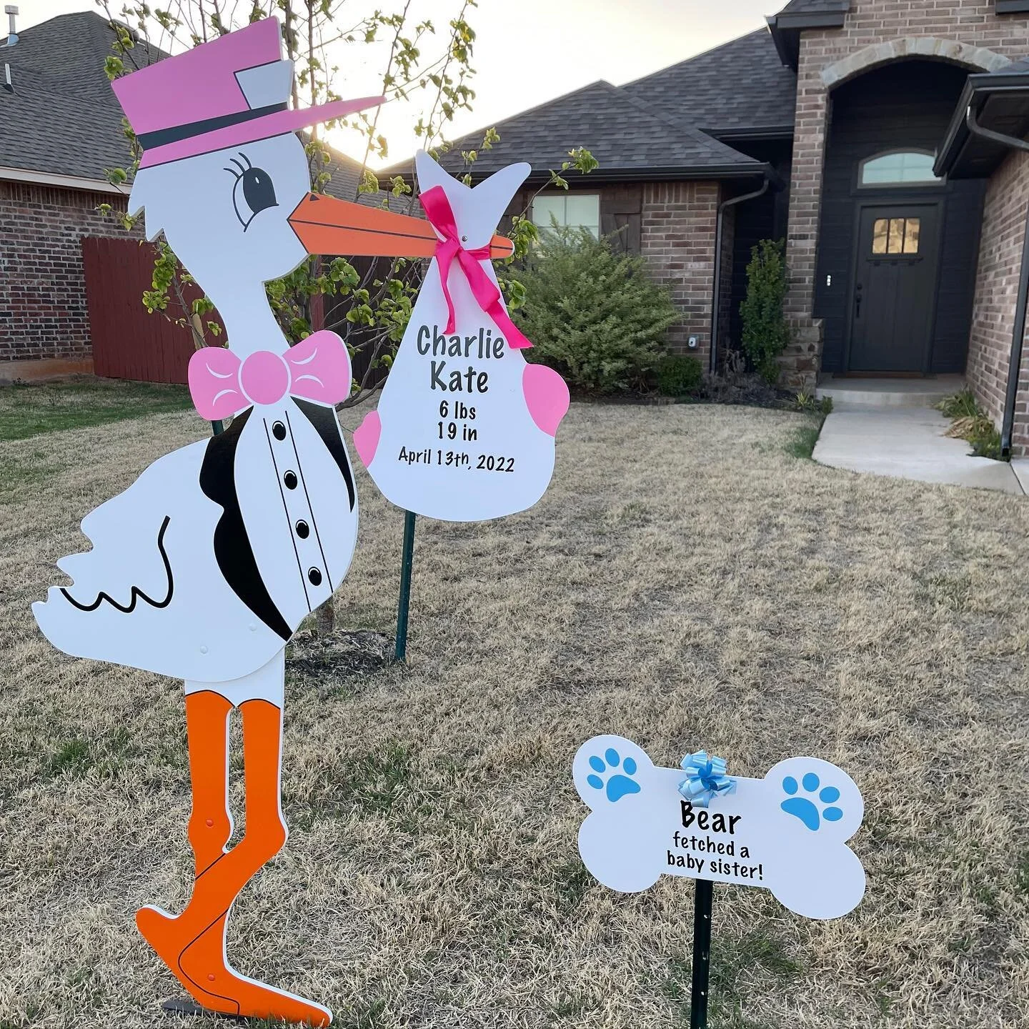 Welcome home Charlie Kate! Bear is excited to meet you 🐶💓 #normanstorks