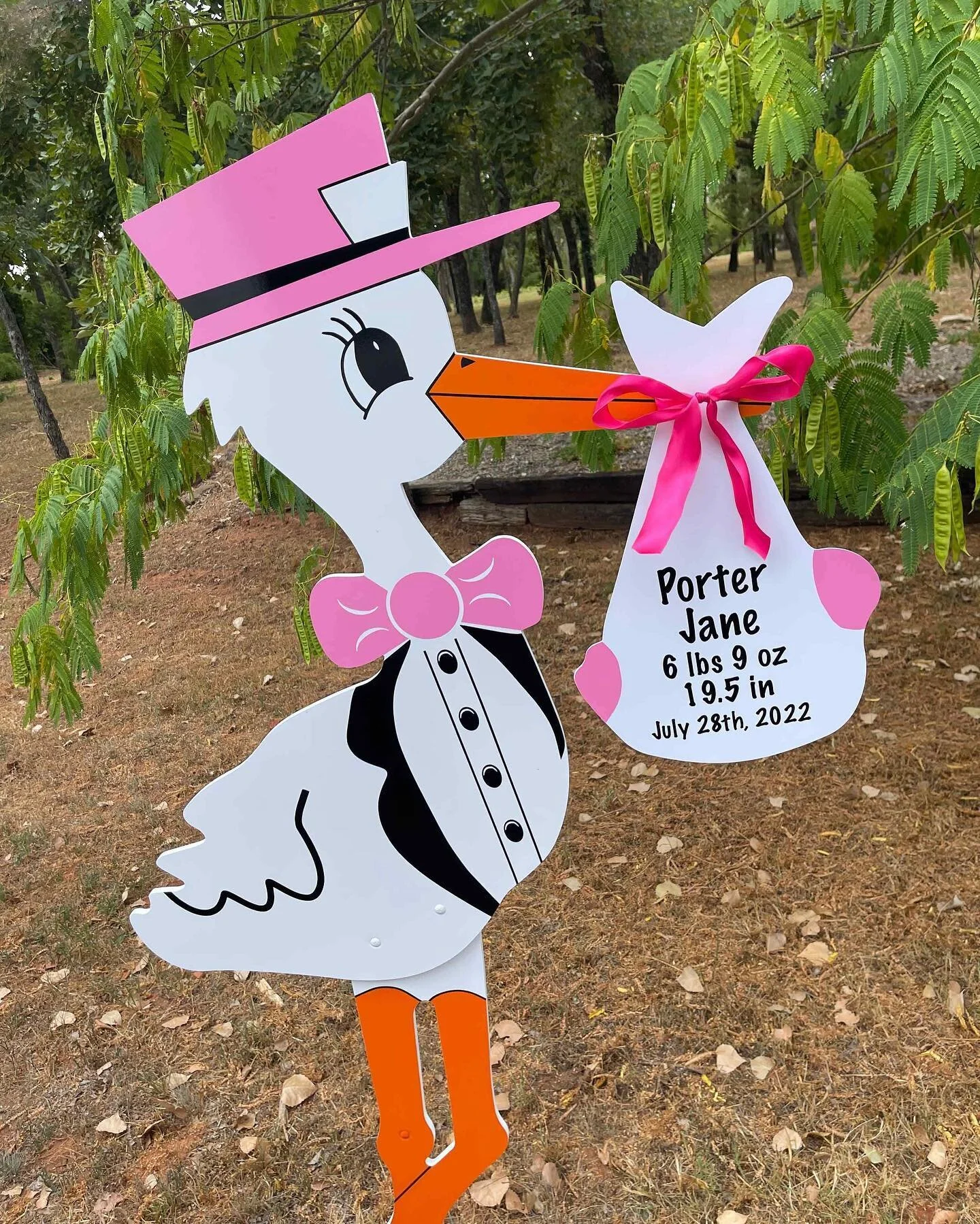 Welcome home Porter! 💗 #normanstorks