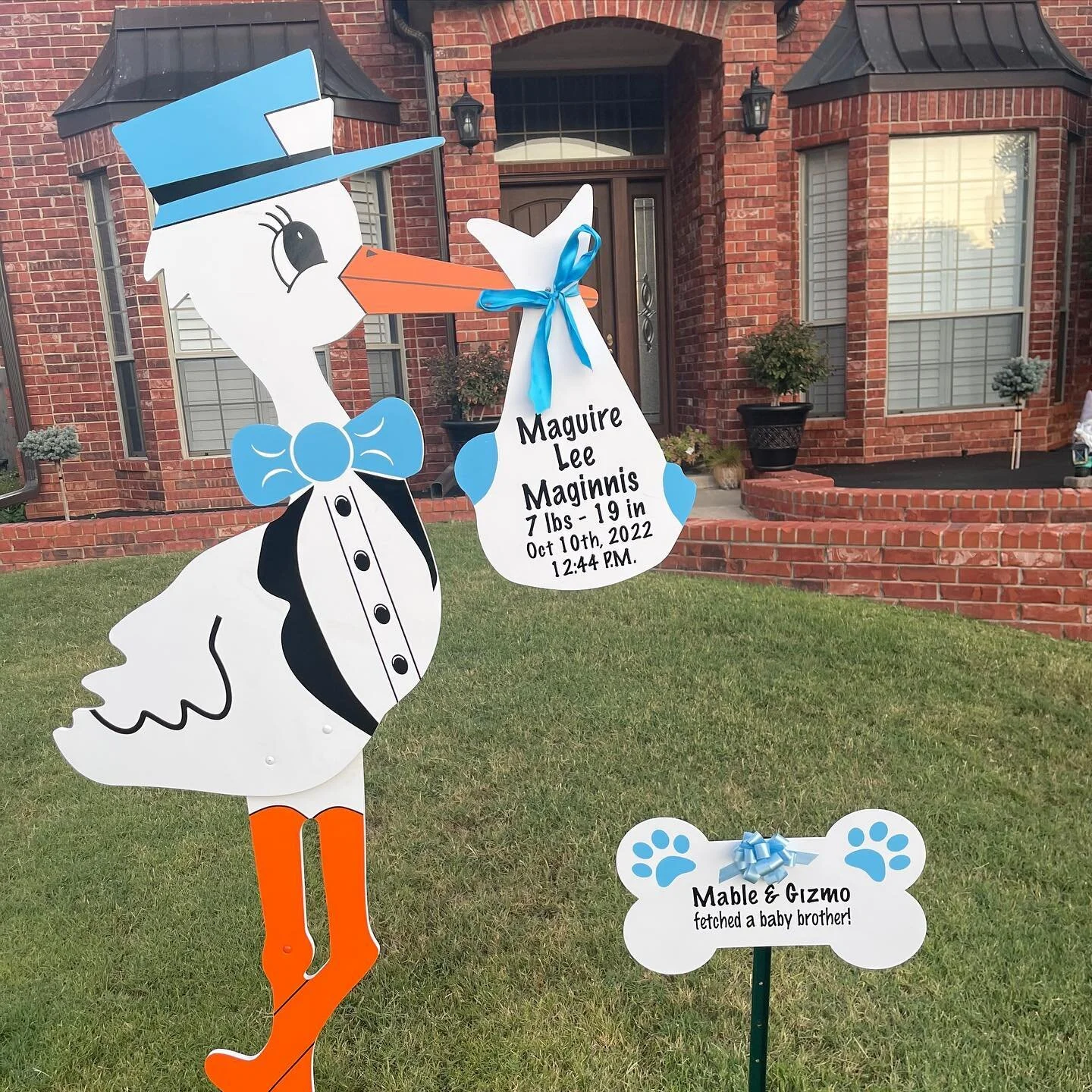 This whole family is excited for their baby brother to be home 💙 #normanstorks