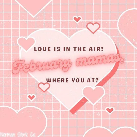 Roses are red, violets are blue, tag a friend who&rsquo;s due in February or let us know if it&rsquo;s you! 💕

 #normanstorkco #dueinfebruary #februarybaby #pregnancyannouncement #babyshower
