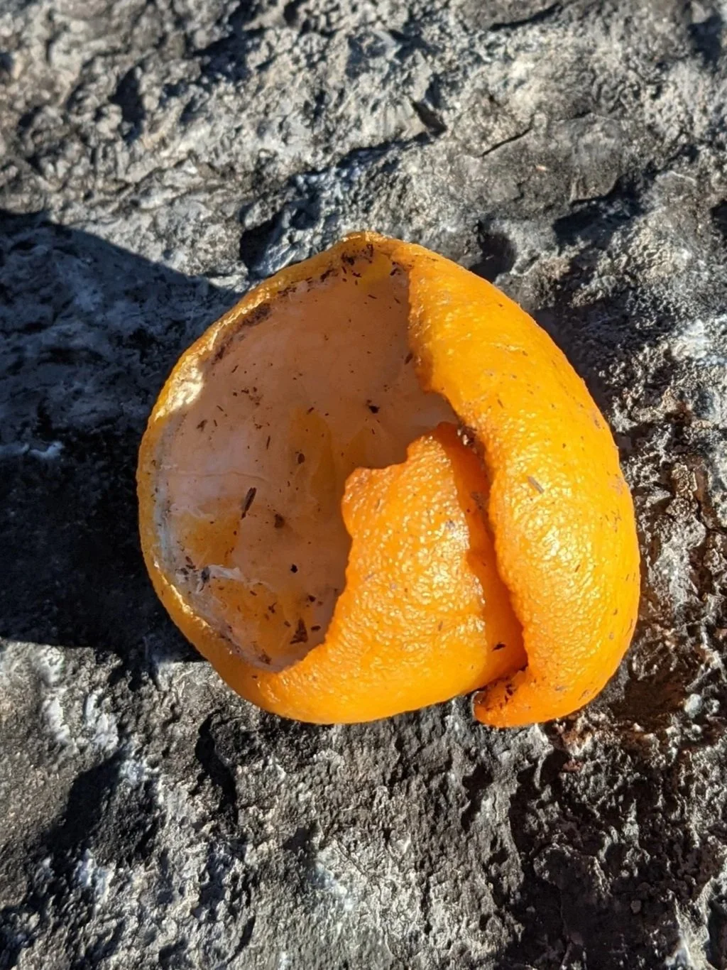 Dropped Peel Designs