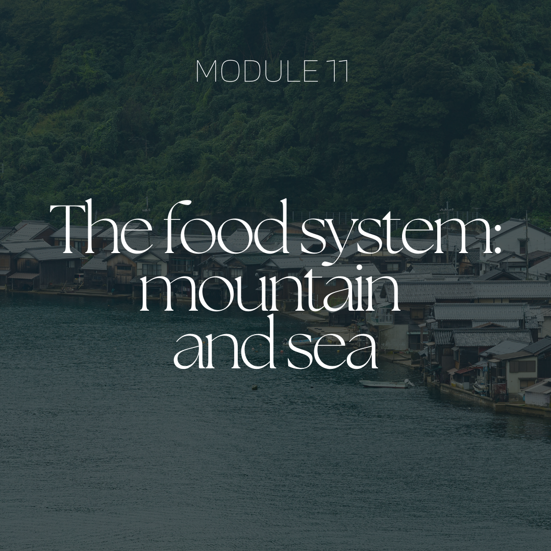 The food system: mountain and sea