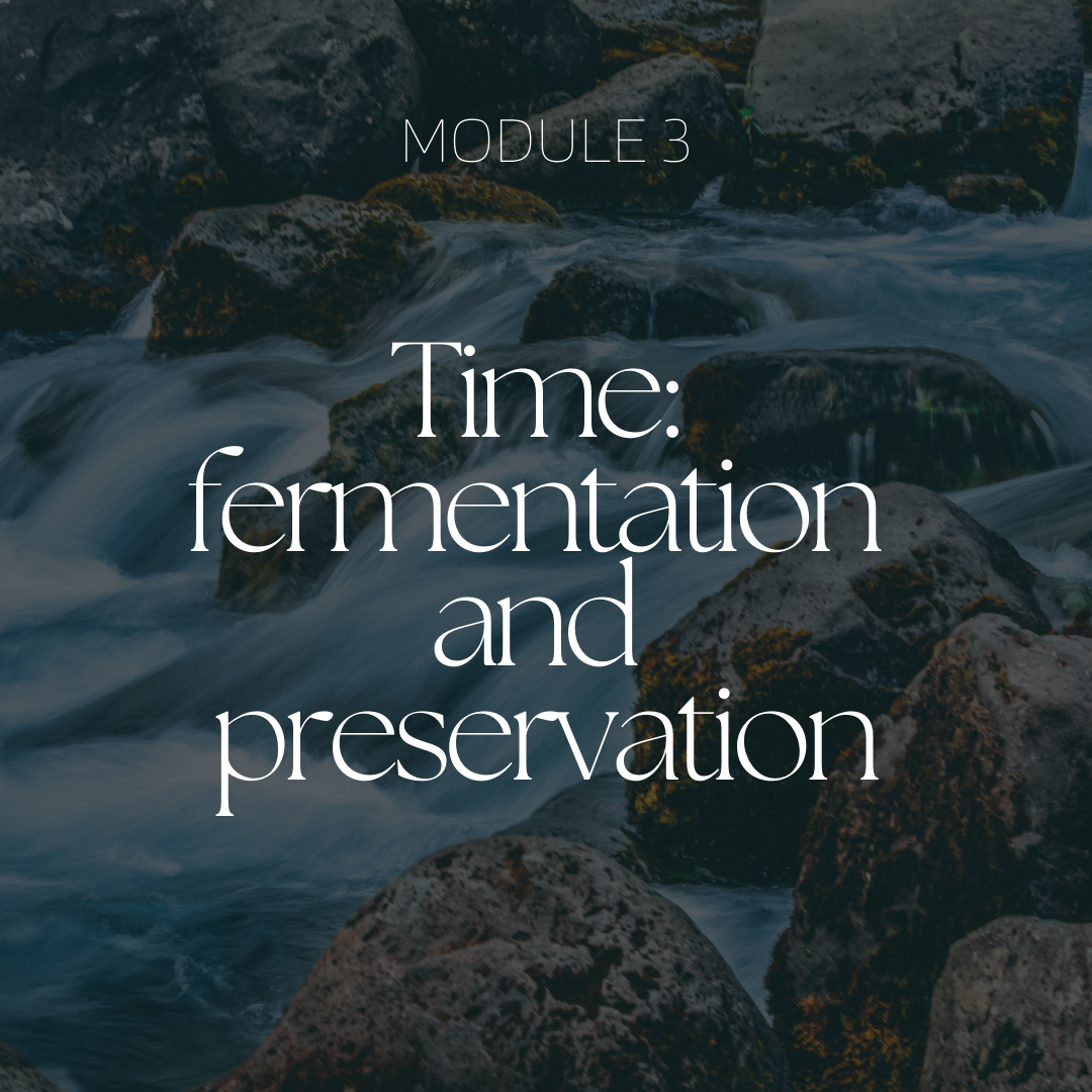 Time: fermentation and preservation