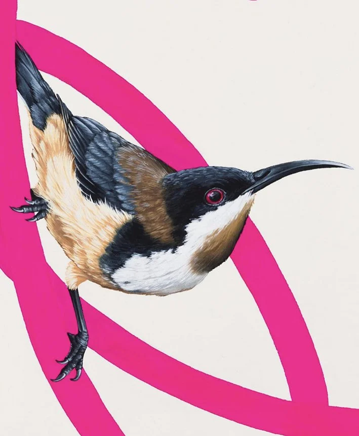 Promo for Newsletter Thomas.jpg