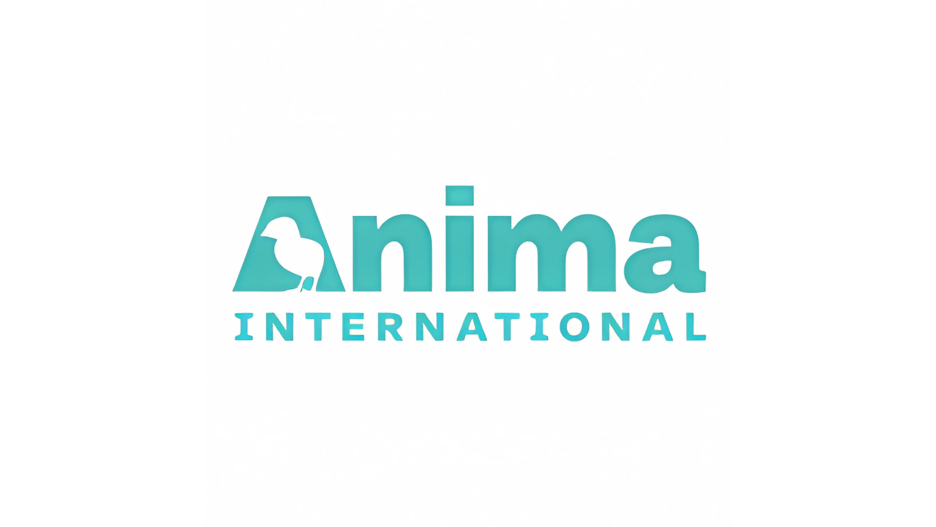 Global Fundraising Specialist