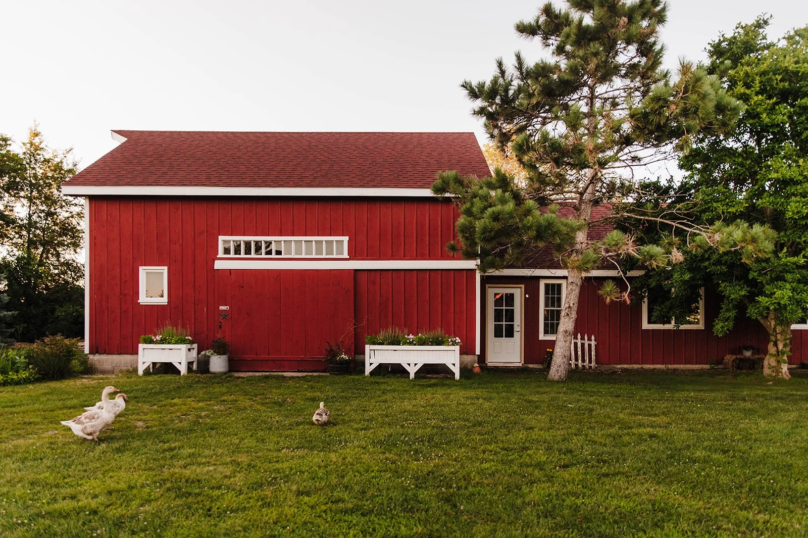 Rosewood Farm
