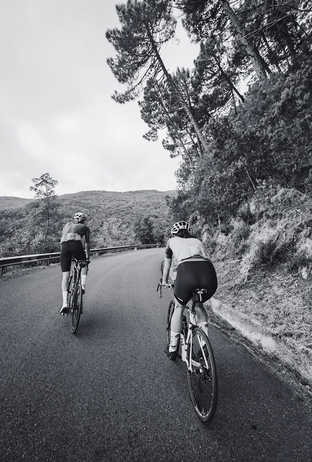 Two cyclists wearing helmets riding on a winding mountain road lined with trees.