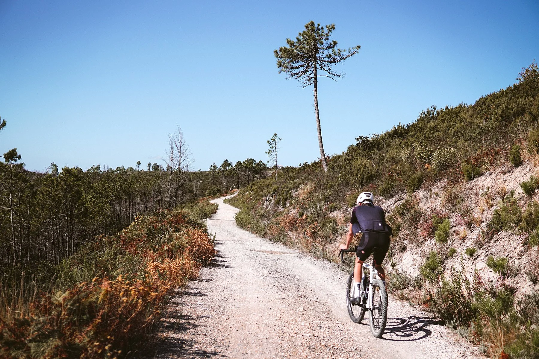 Cyclist riding up to the Monti Pisani in Tuscany, part of one asimismo bespoke routes