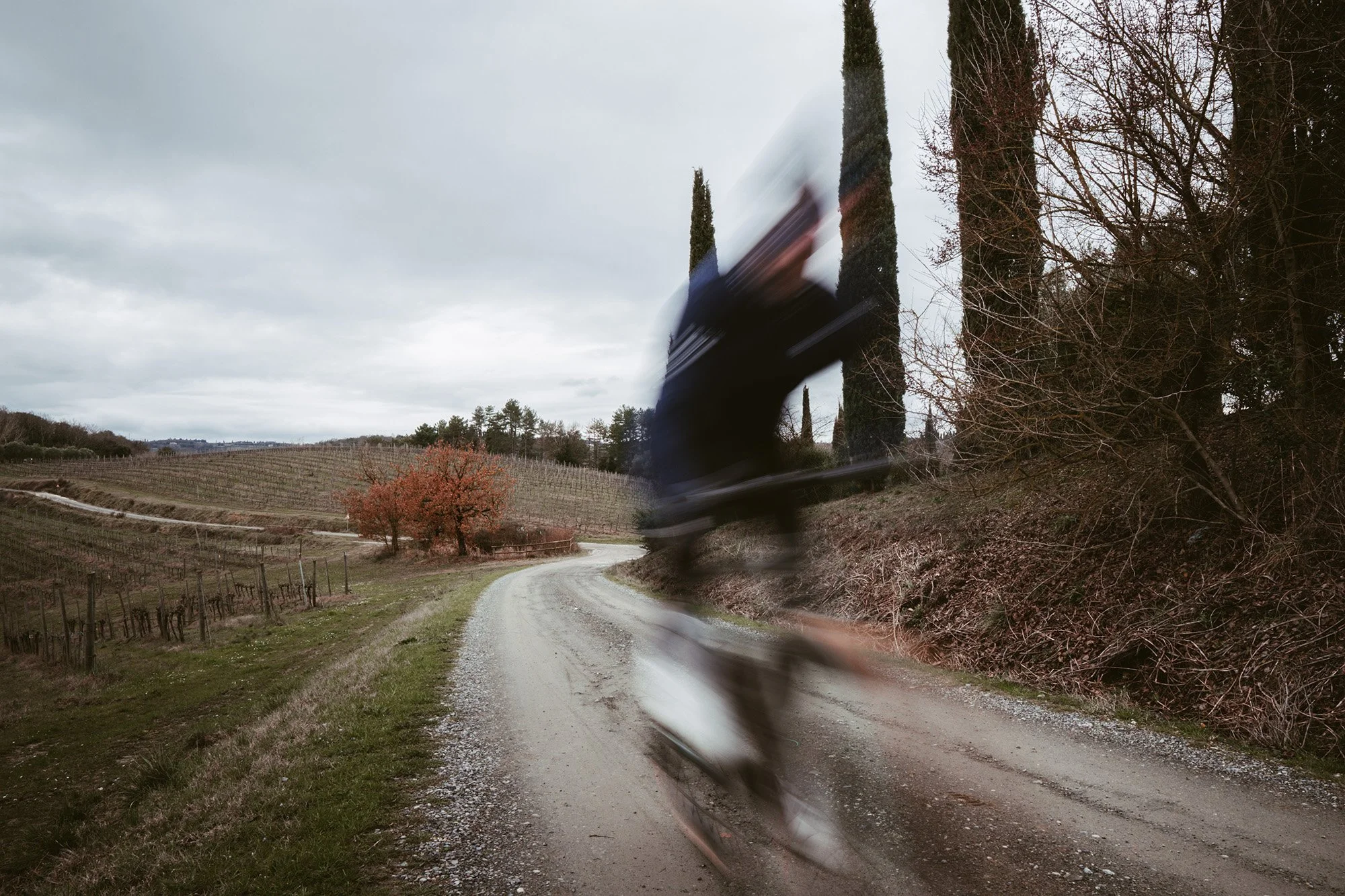 ale salvaggio-case nuove grv 090226-04979.jpg