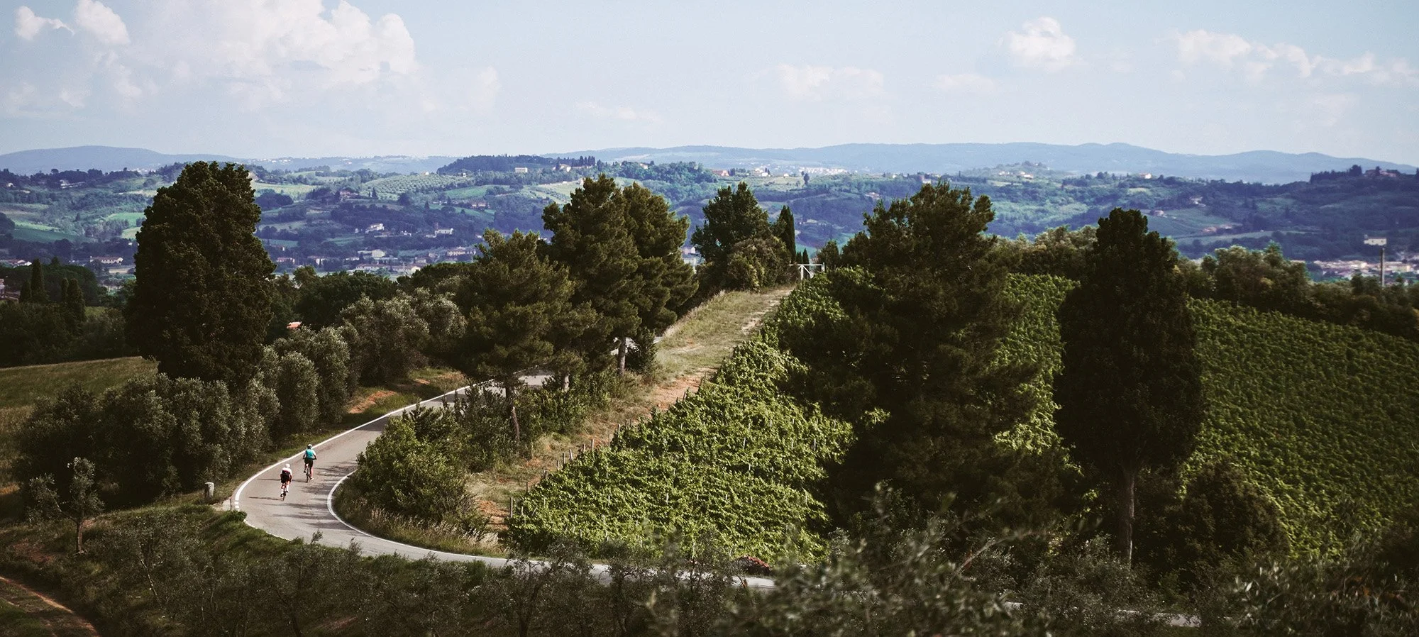 two cyclists along a Tuscan road from the distance