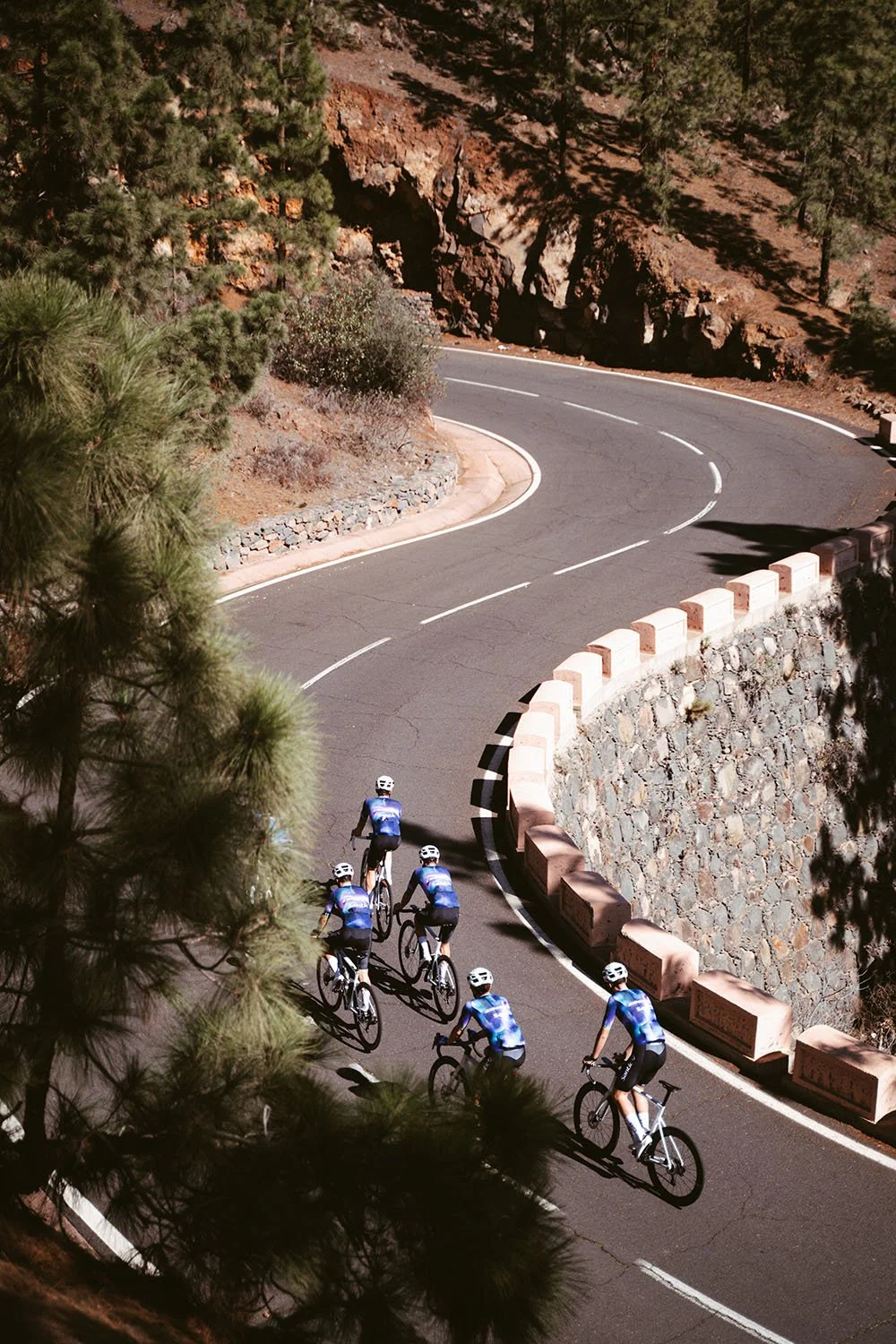 A group of five cyclists wearing helmets and blue jerseys riding on a winding mountain road surrounded by trees and rocks.