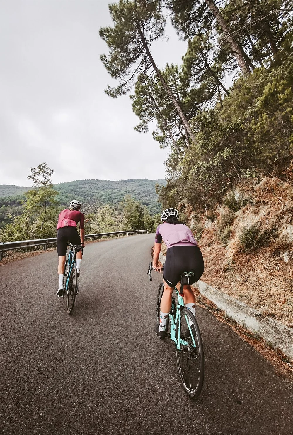 Cyclists riding up to a climb in Tuscany on a guided tour