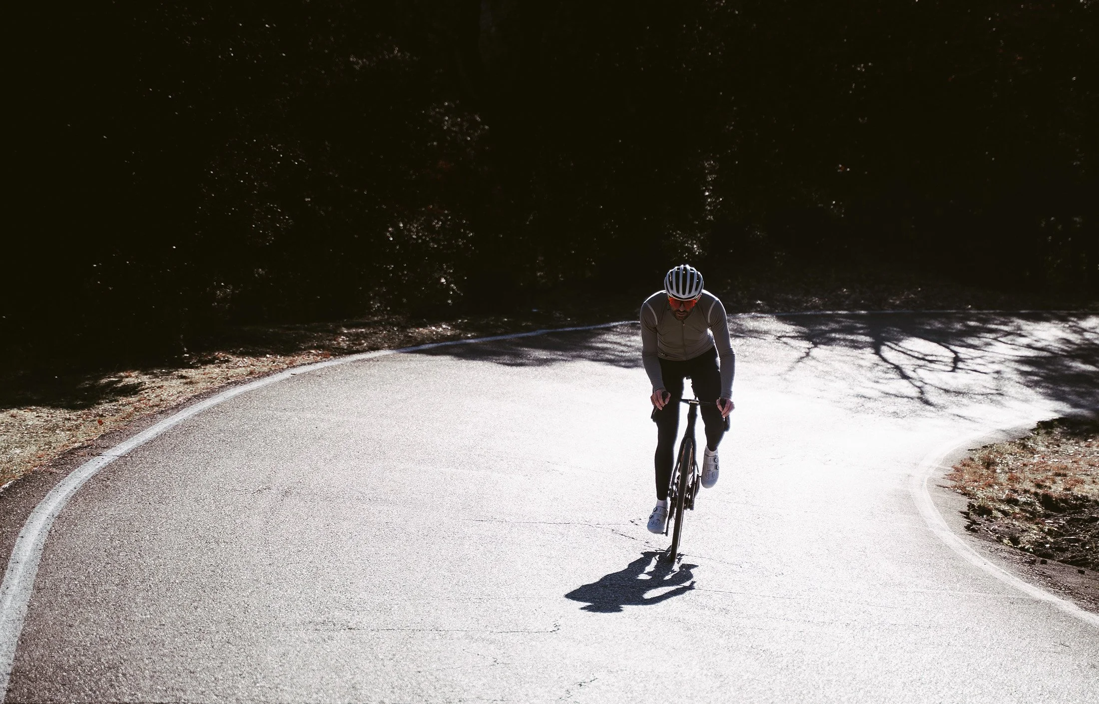 A person riding a bicycle on a winding road surrounded by trees, with shadows of the branches on the road in sunlight.