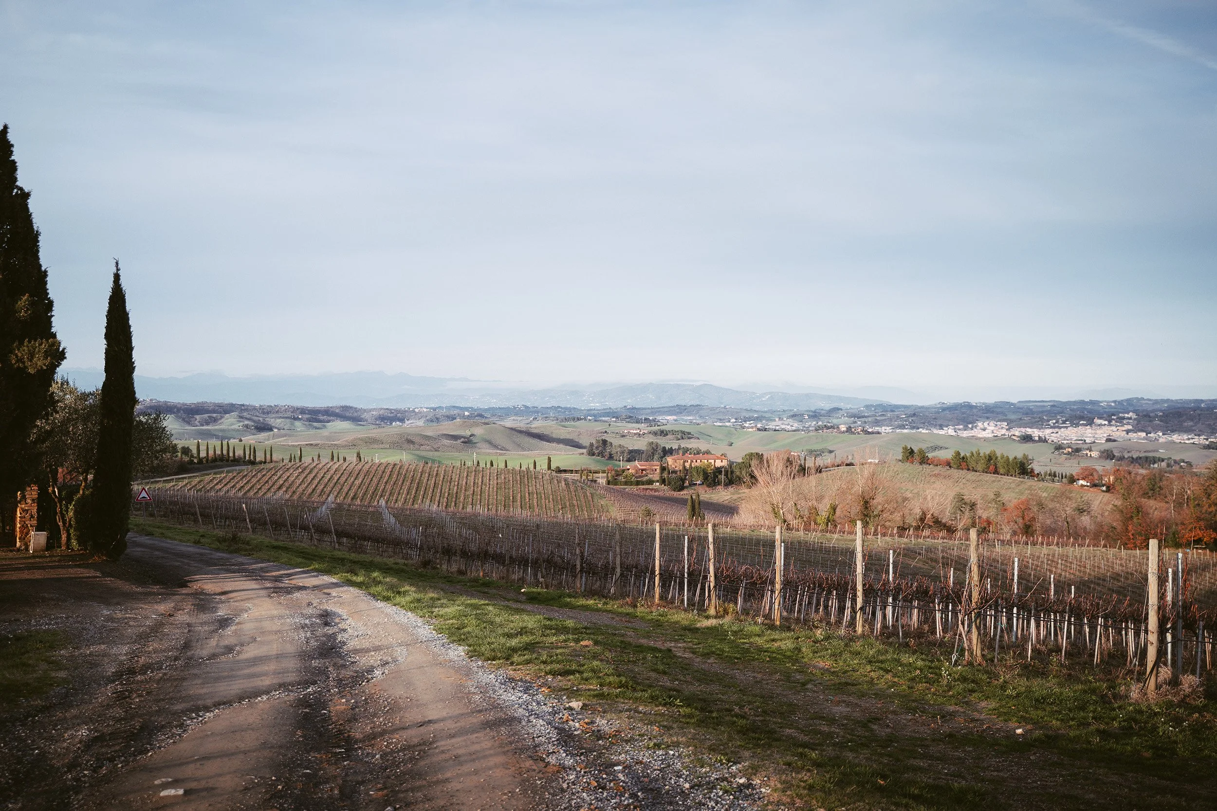 gravel road in Val d'Elsa along one of the Asimismo guided bike tour