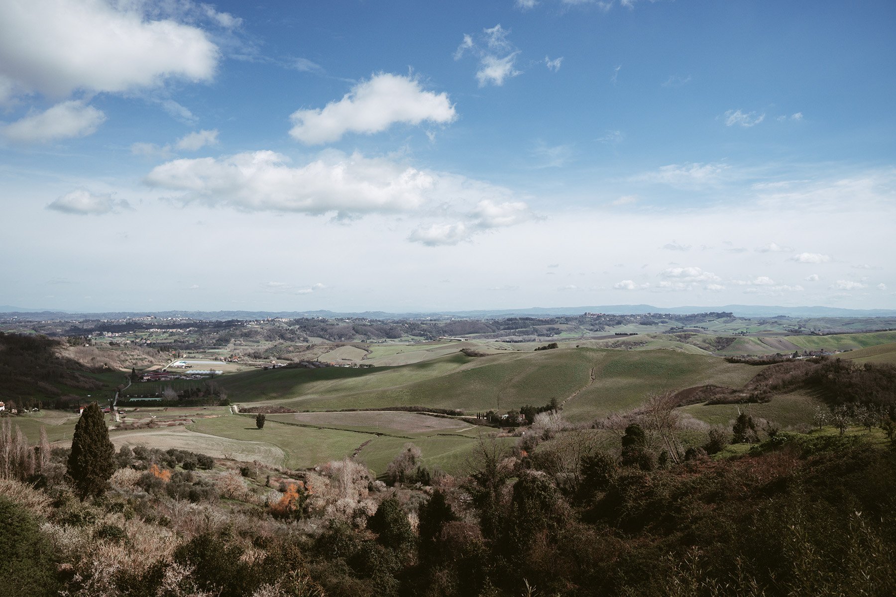 Ale_salvaggio-small 130324-08708.jpg