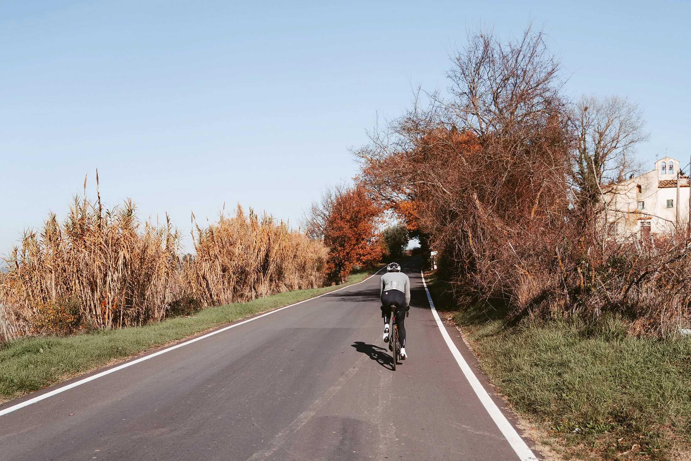 Cyclist riding on a countryside road surrounded by trees and tall grass on a clear day.