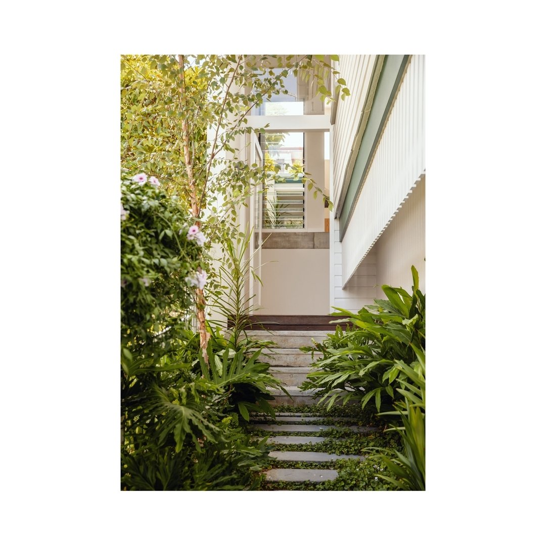 TOOWONG House . Entry 

On a narrow, inner-city site, the entry to Toowong House sits quietly on a split level between the cottage and rear addition. It takes advantage of its neighbouring easement, pushing planning to allow for greater generosity in