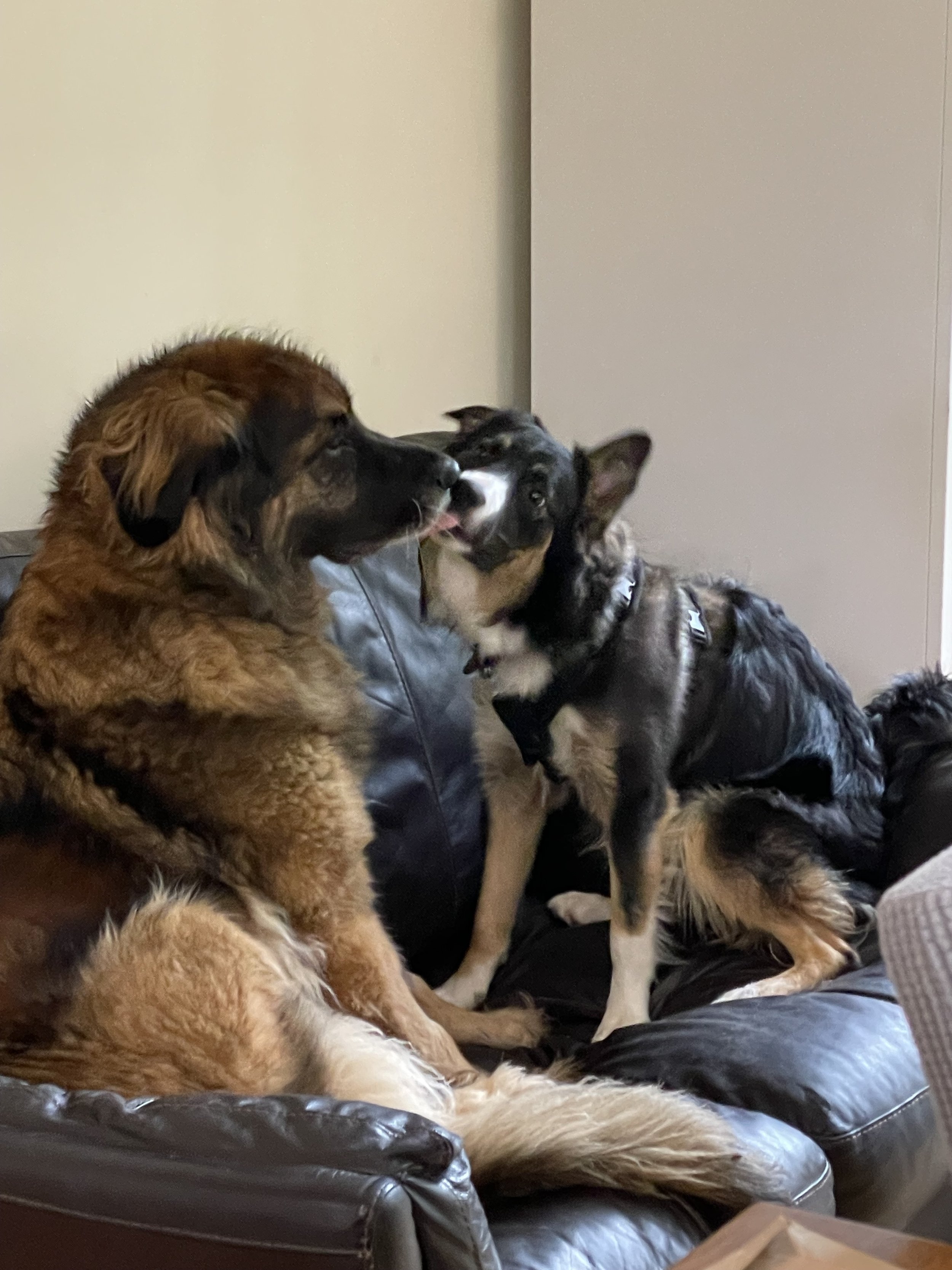 Getting to the heart of the matter