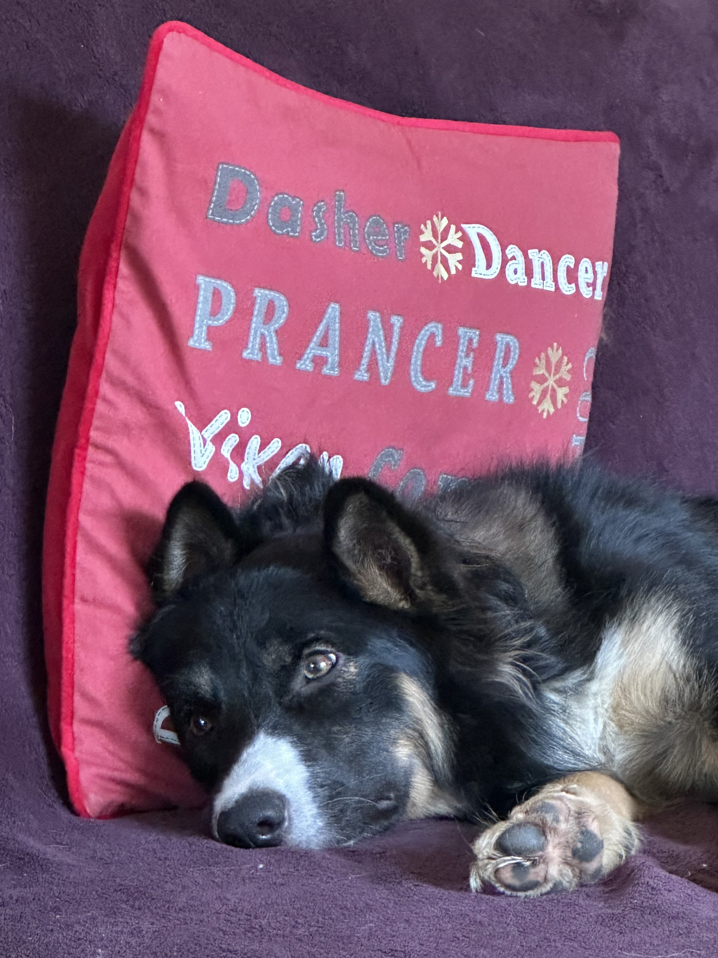 A Year Old Today