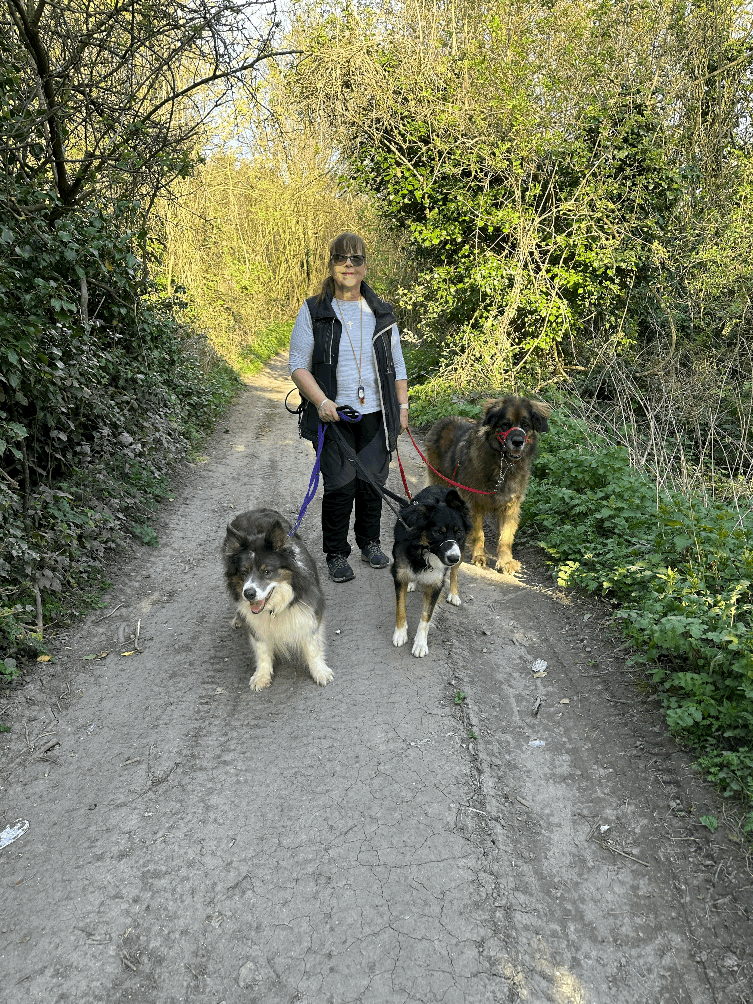 The Pilgrim’s Way