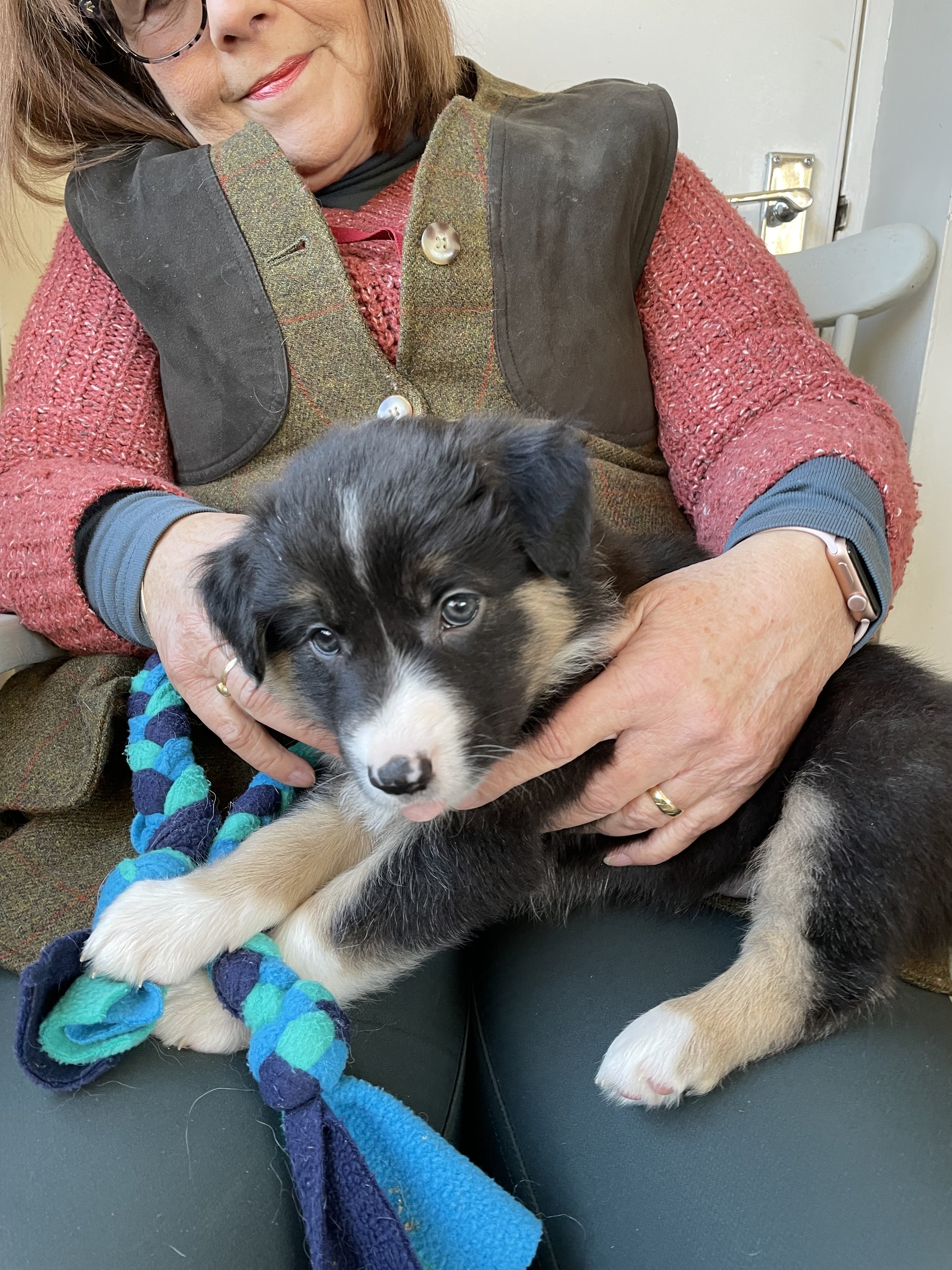 Puppy Love