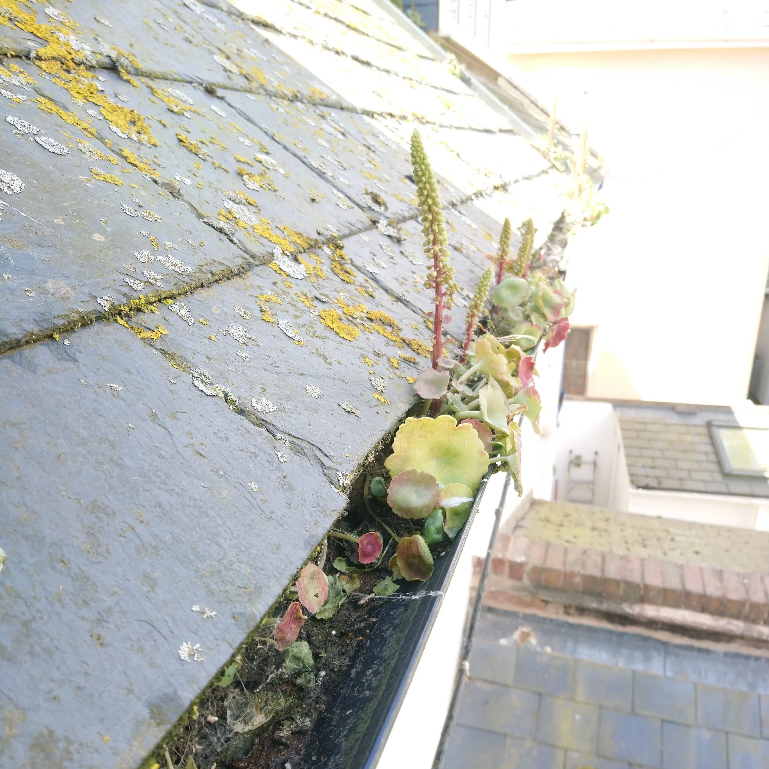 Before Cleaning