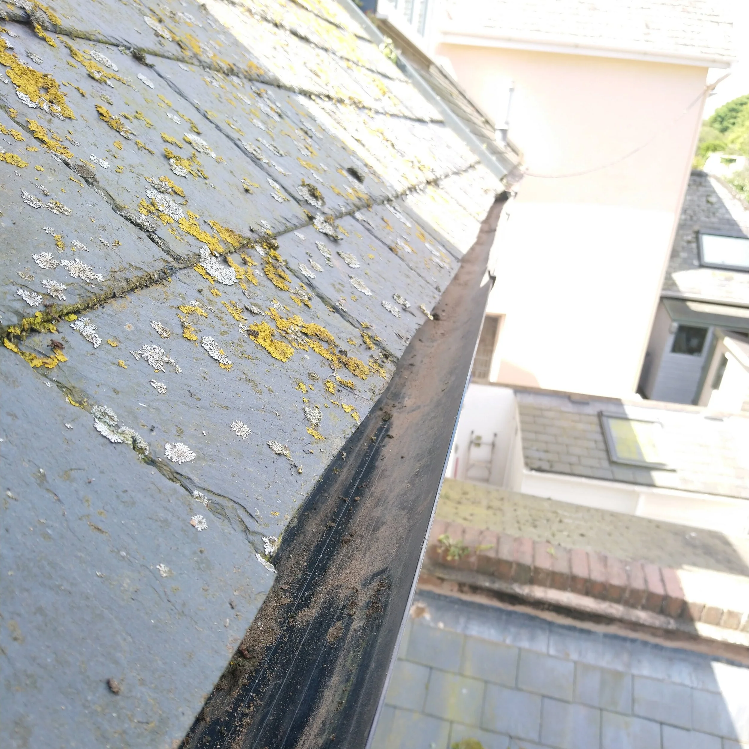 Debris safely vacumned away, gutters checked and ready to go for another year