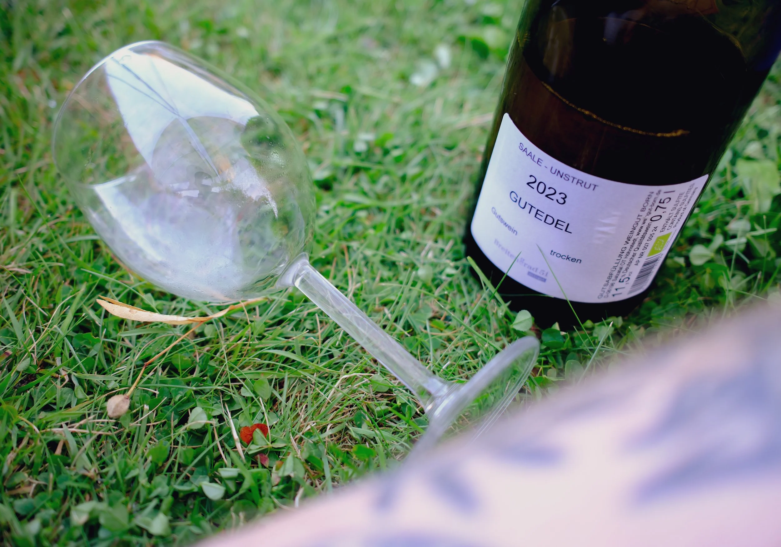 DSCF2970.jpg