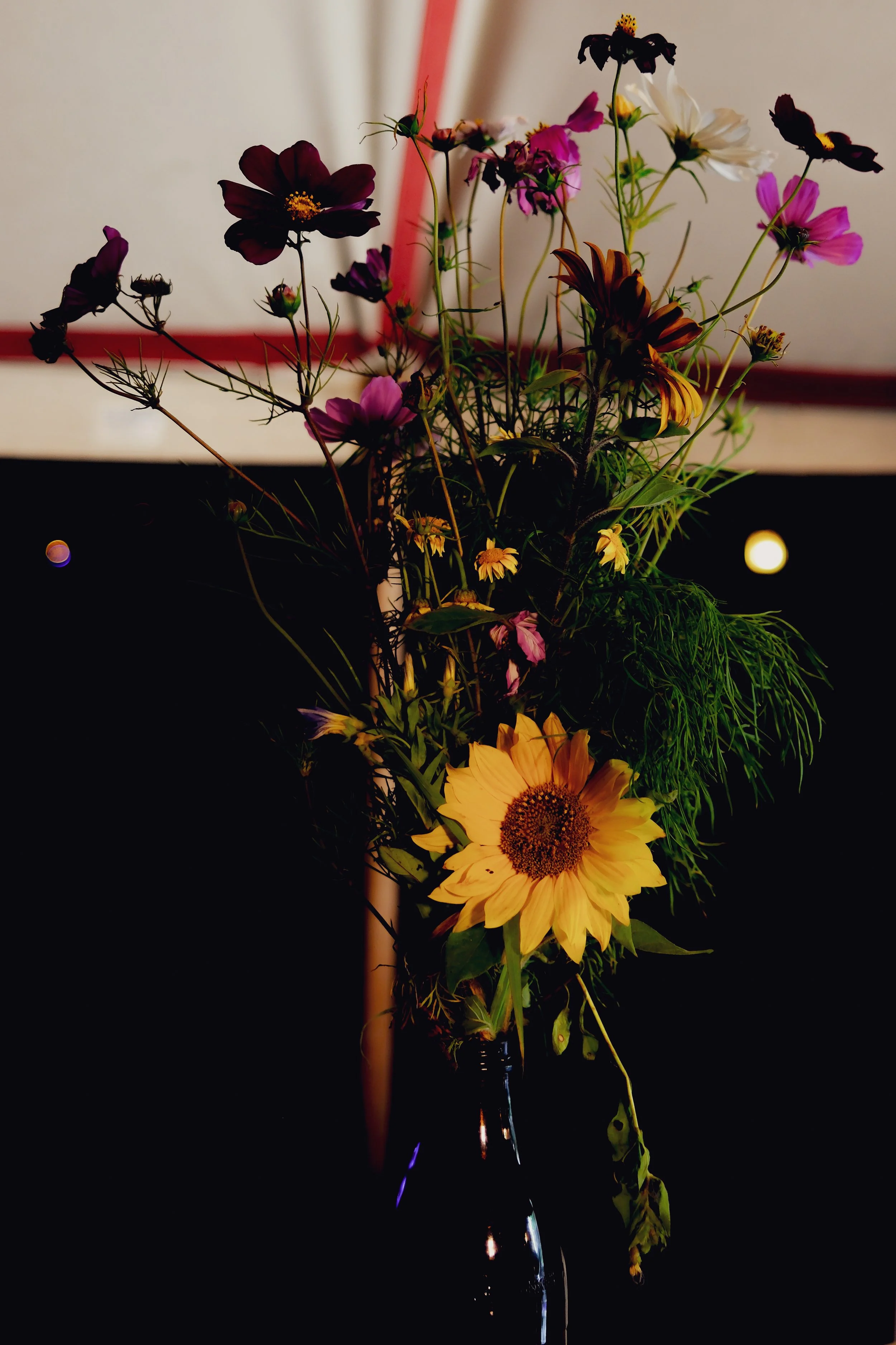 DSCF3022.jpg