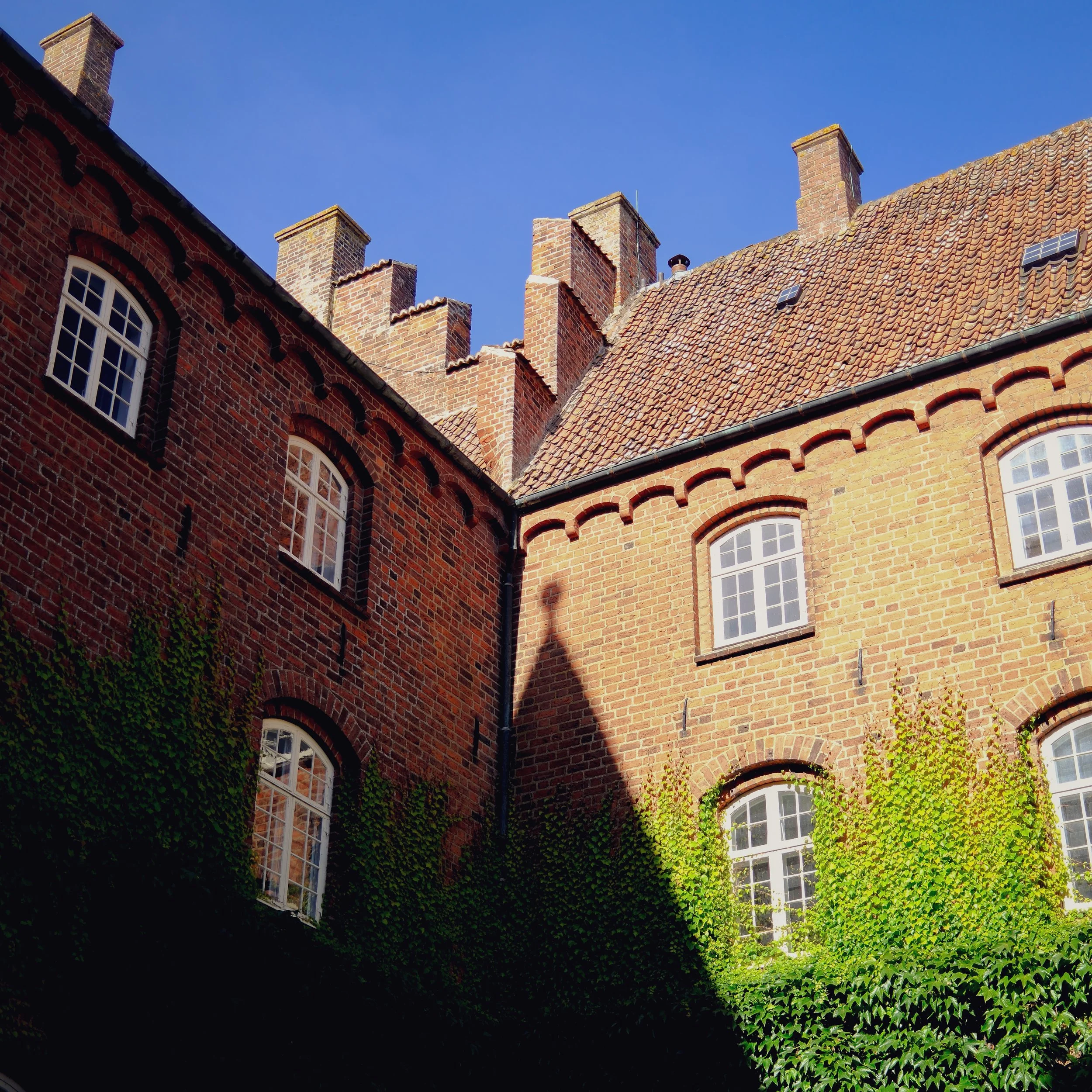 DSCF3088.jpg