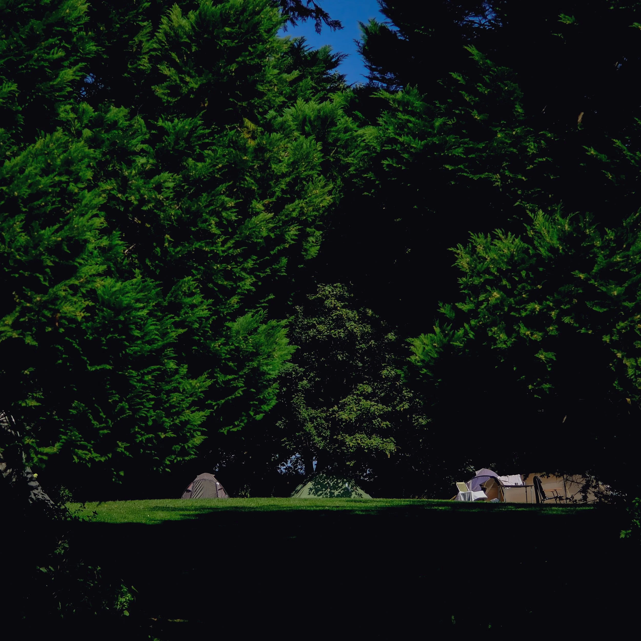 DSCF3053.jpg