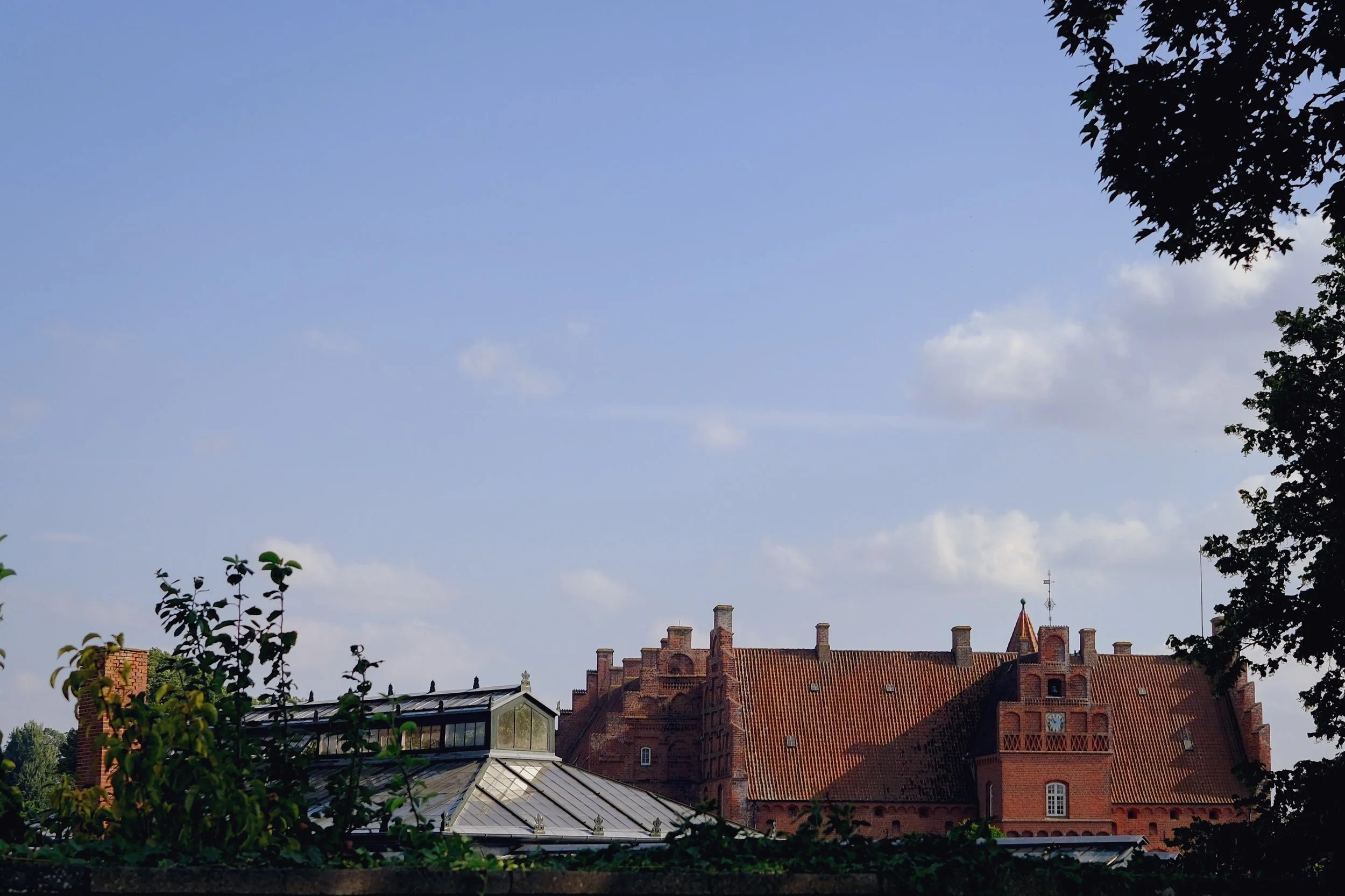 DSCF2918.jpg
