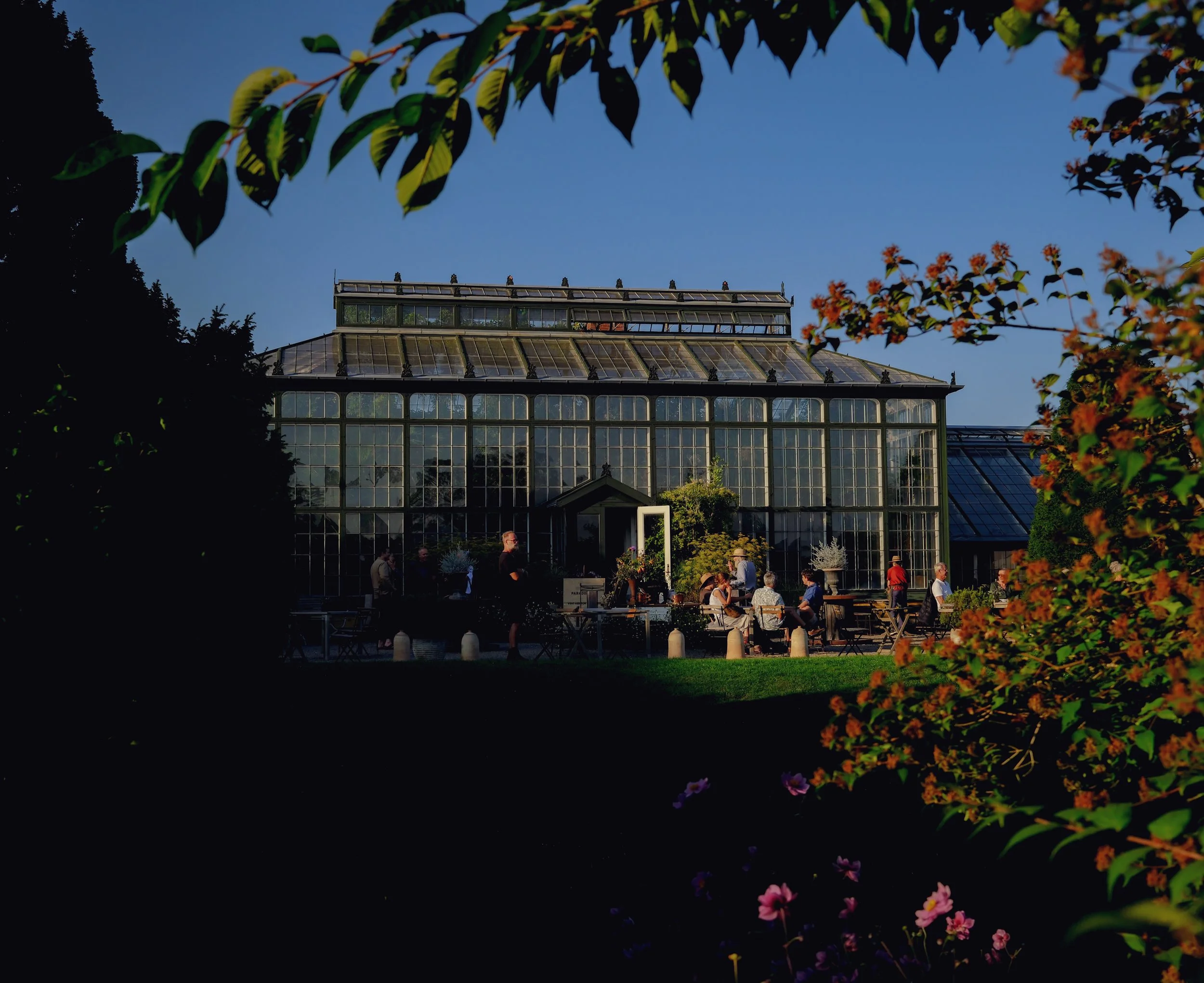 DSCF2965.jpg