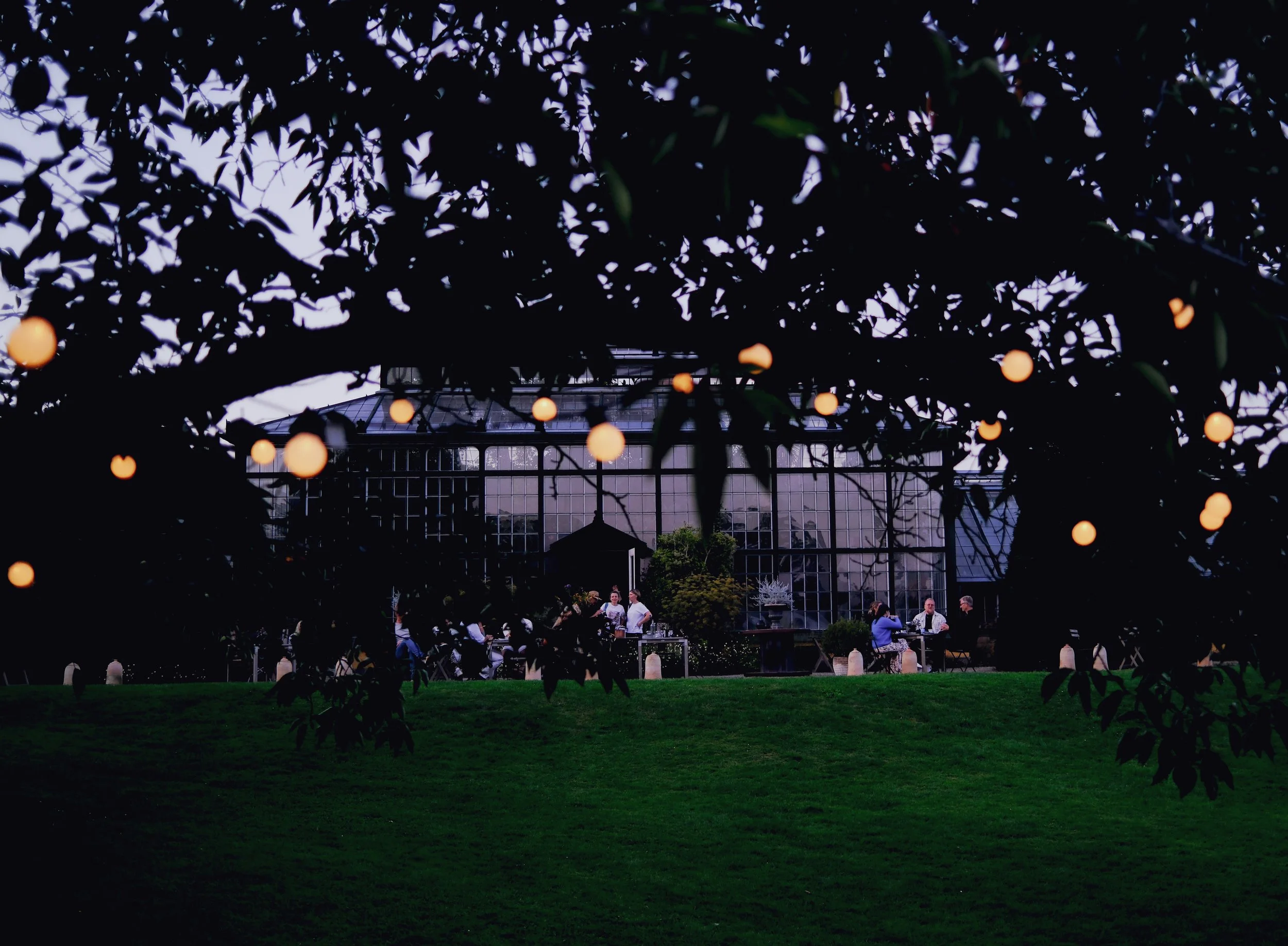 DSCF2975.jpg