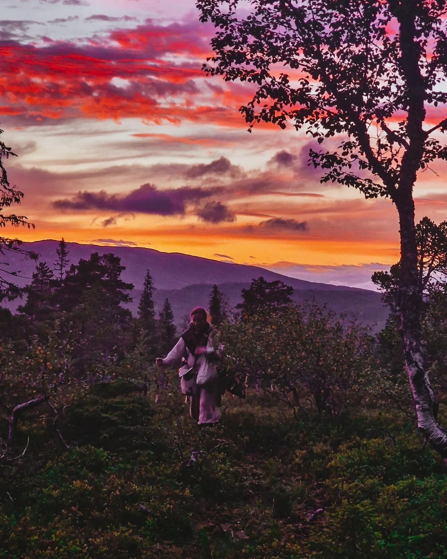 Sunset over Skardshaugen hill on our way to Hest&aring;sl&aelig;ttet camp site. We got there just in time before darkness fell upon us. The nights are starting to look like real nights again. In this area we haven't seen real darkness since May. Now 