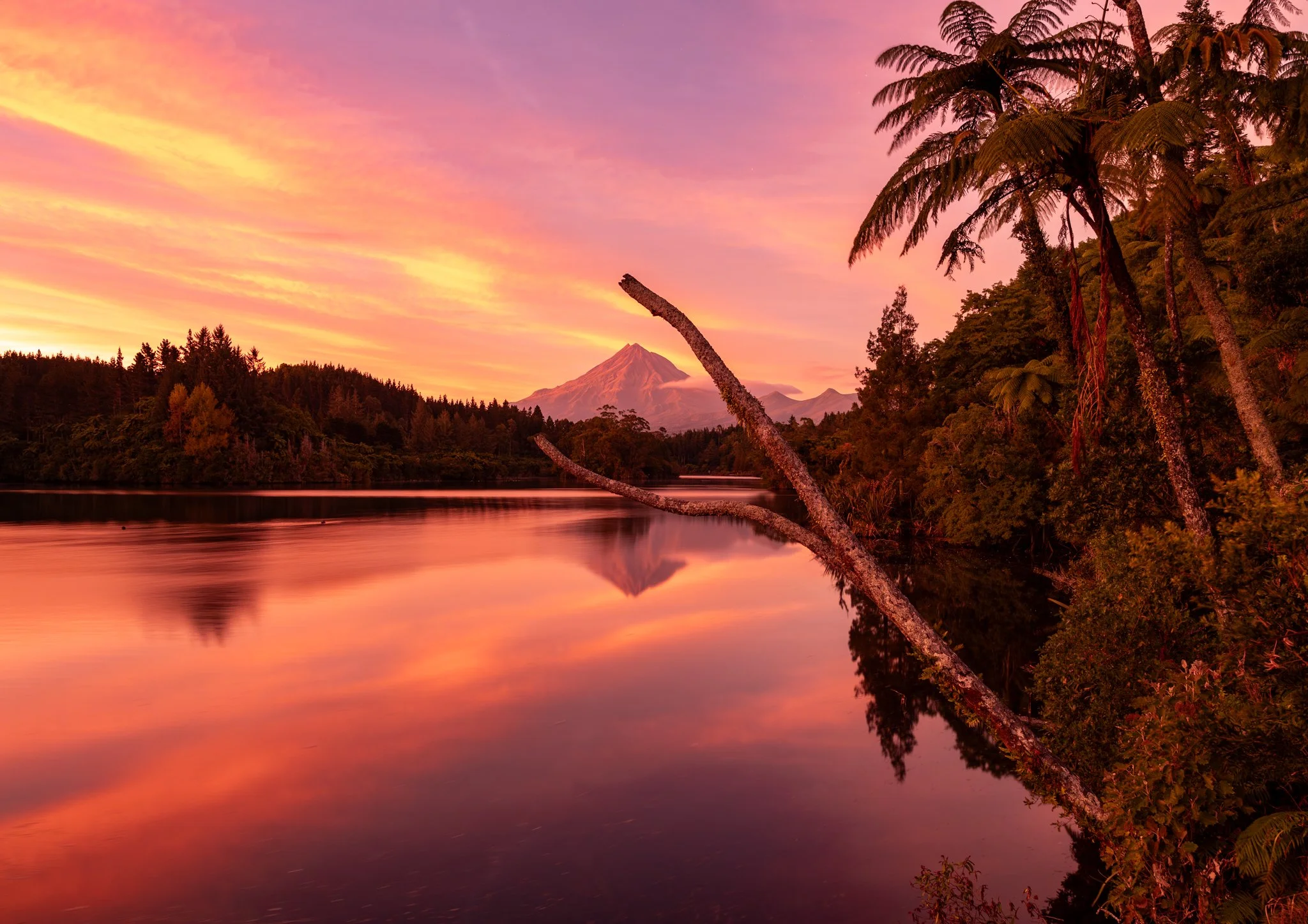 Sunset over a calm river with a snow-capped mountain in the background, surrounded by lush green trees and tropical vegetation, reflecting pink and purple hues in the sky.