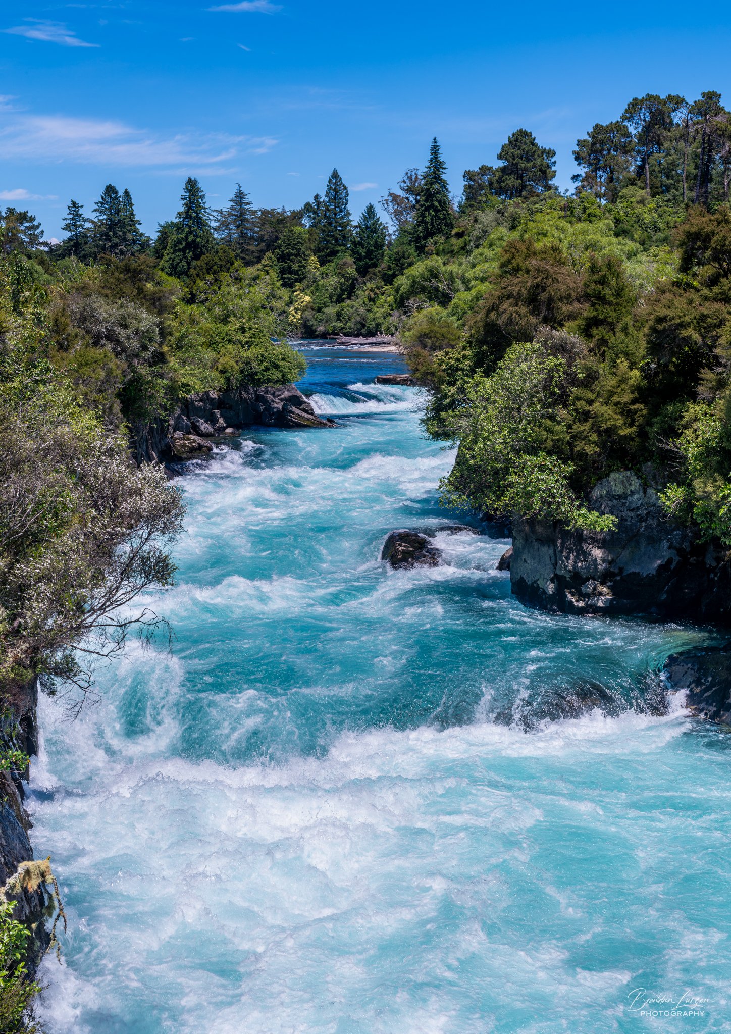 A rushing blue river flowing through a lush green forest under a clear blue sky.