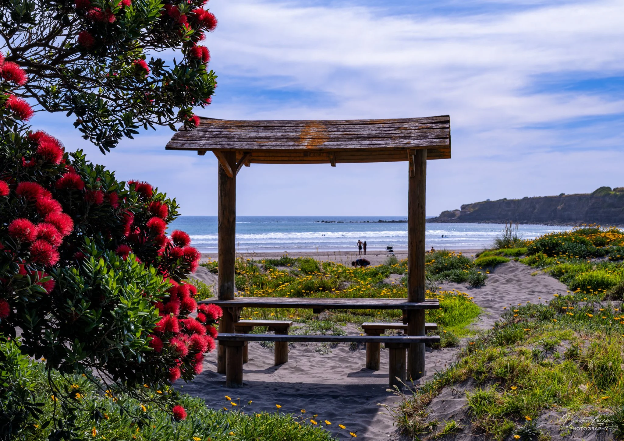 A wooden bench with a roof in a floral garden on a sandy beach, overlooking the ocean with people in the distance and cliffs on the horizon.