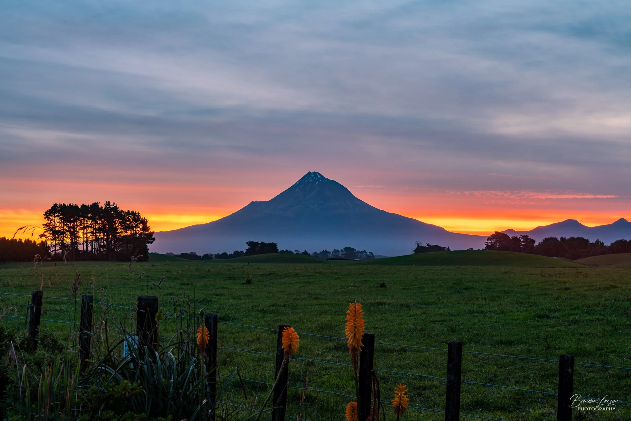 A landscape featuring a grassy field with some orange flowers in the foreground, a silhouette of trees, and a mountain in the background under a partly cloudy sky during sunset.