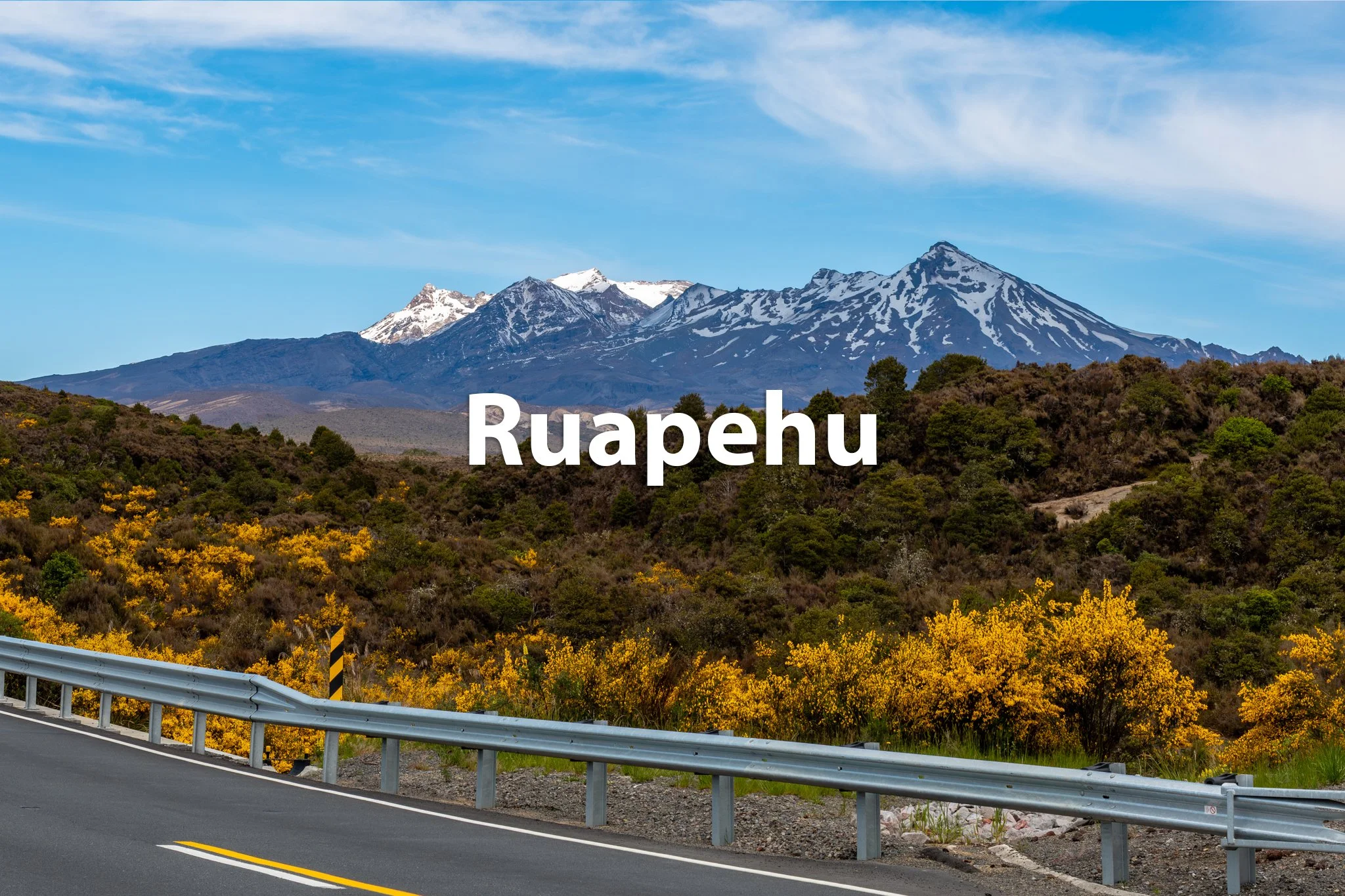 Scenic view of Ruapehu, a snow-capped mountain in New Zealand, with yellow flowering bushes and a highway with guardrails in the foreground.