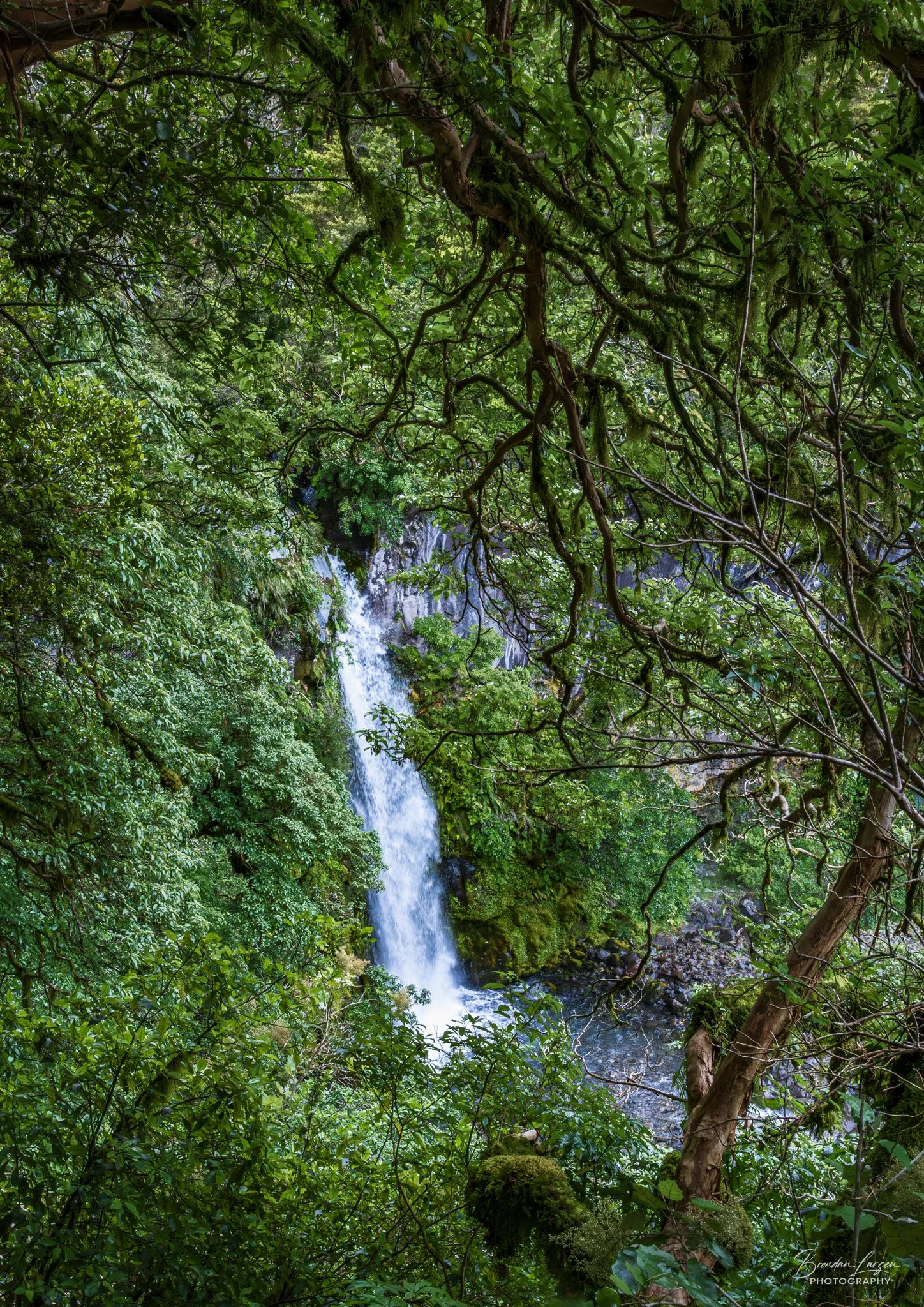 Waterfall flowing through lush green forest with dense trees and foliage.