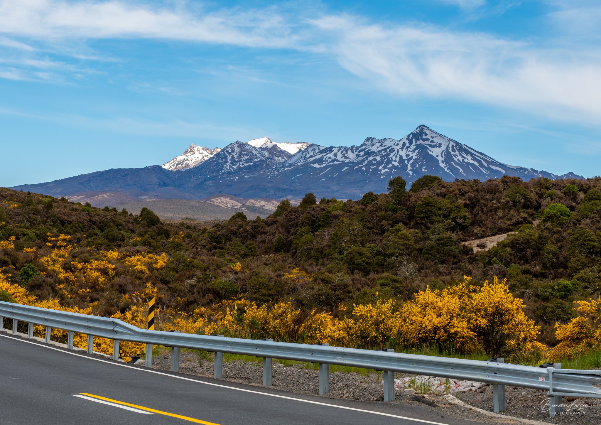 A scenic view of a mountain range with snow-capped peaks, a clear blue sky with wispy clouds, a highway with a guardrail in the foreground, and yellow flowering bushes along the roadside.