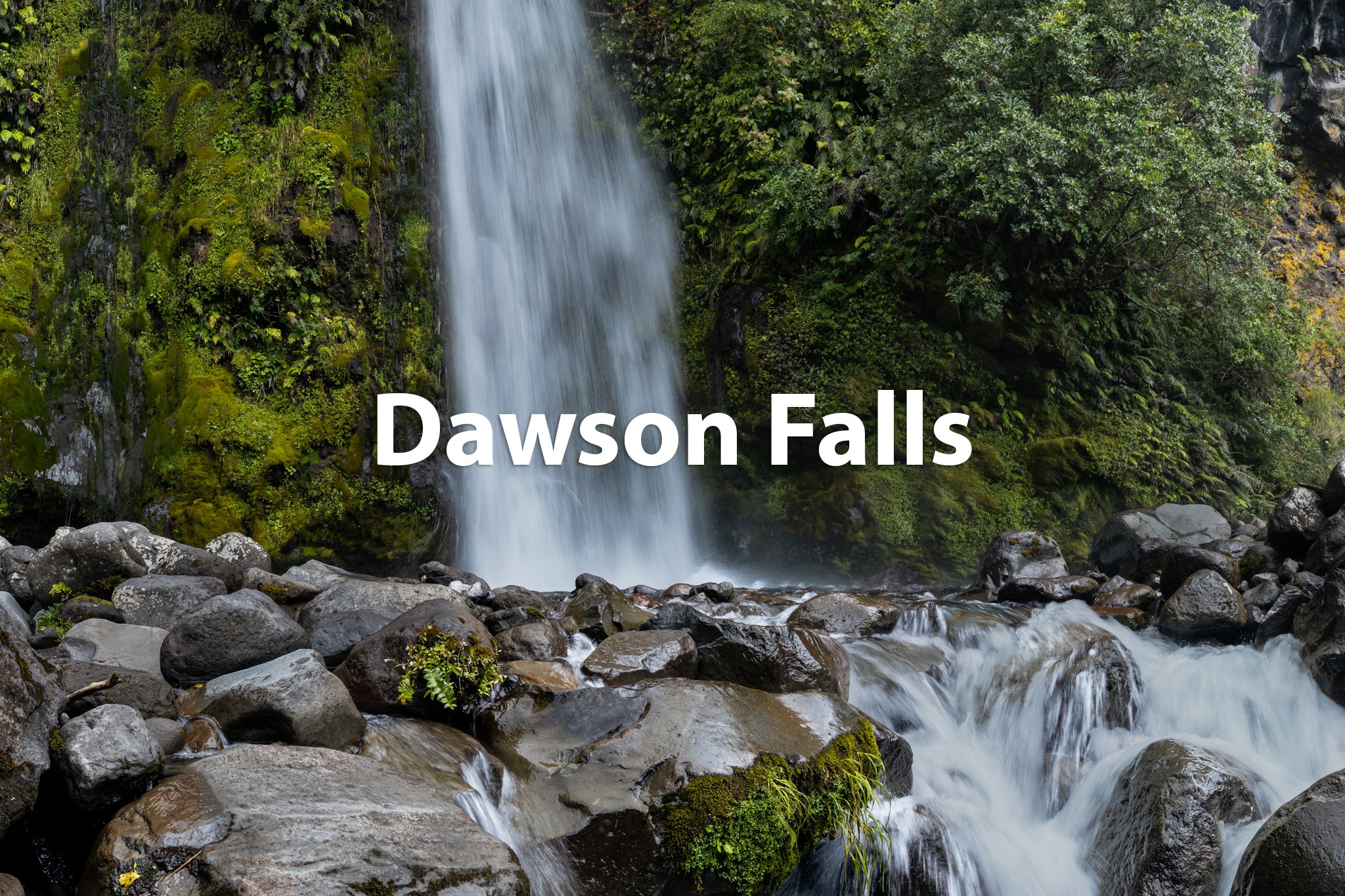 Waterfall called Dawson Falls flowing over moss-covered rocks and lush green vegetation.