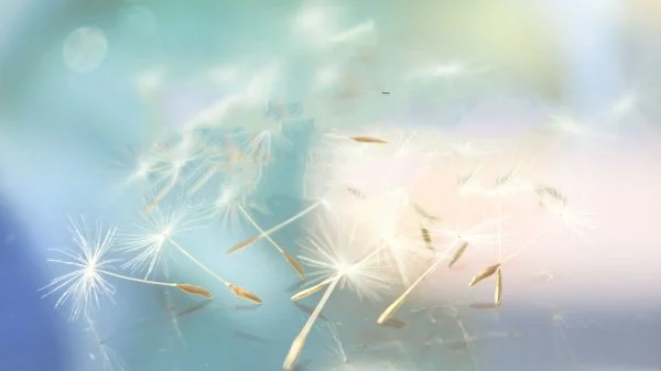 Eignet sich Grace Integrity® für hochsensible Frauen?