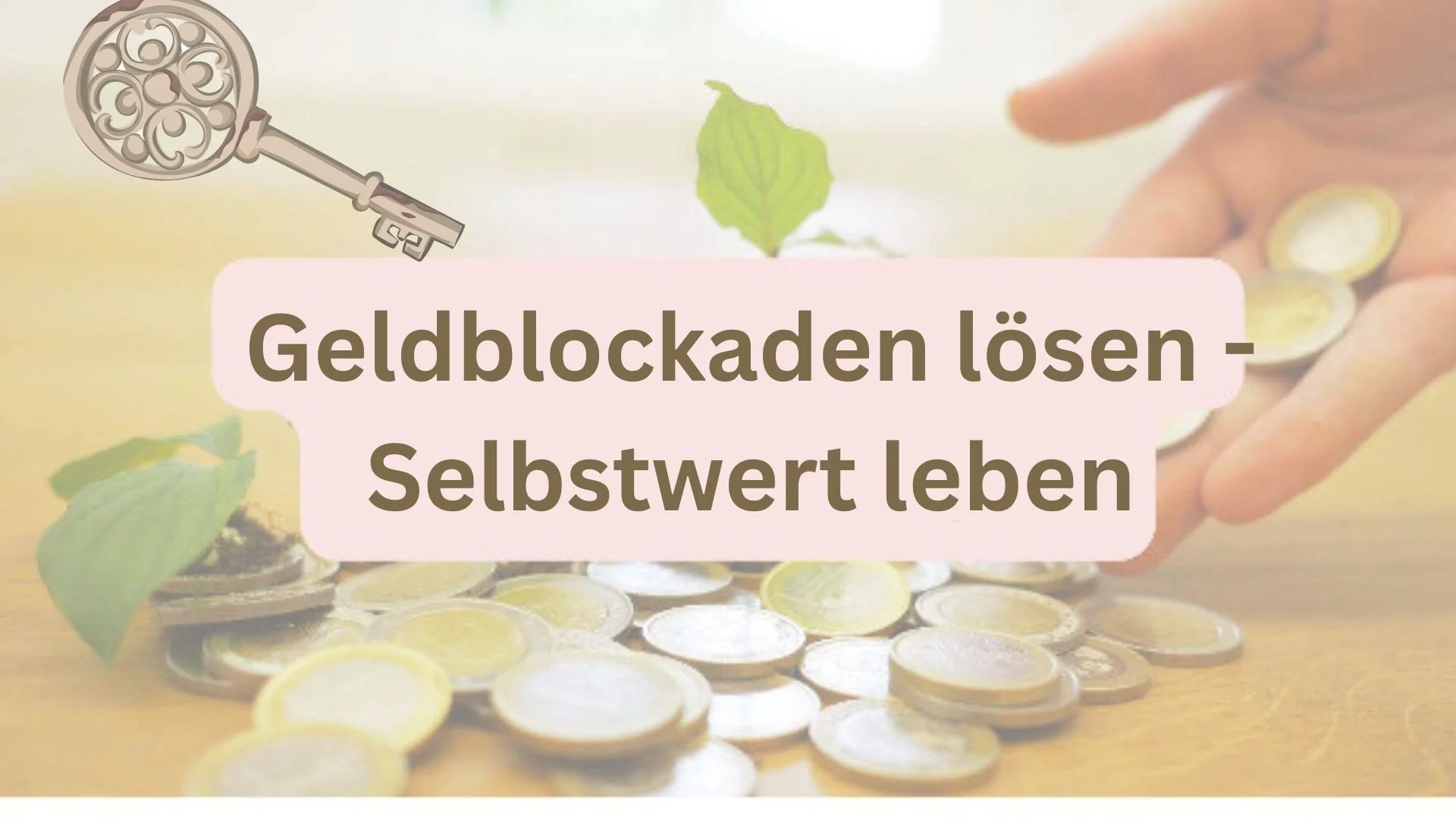 Ist mir Grace Integrity® zu teuer? - Geldblockaden lösen, Selbstwert und Wertschätzung verinnerlichen