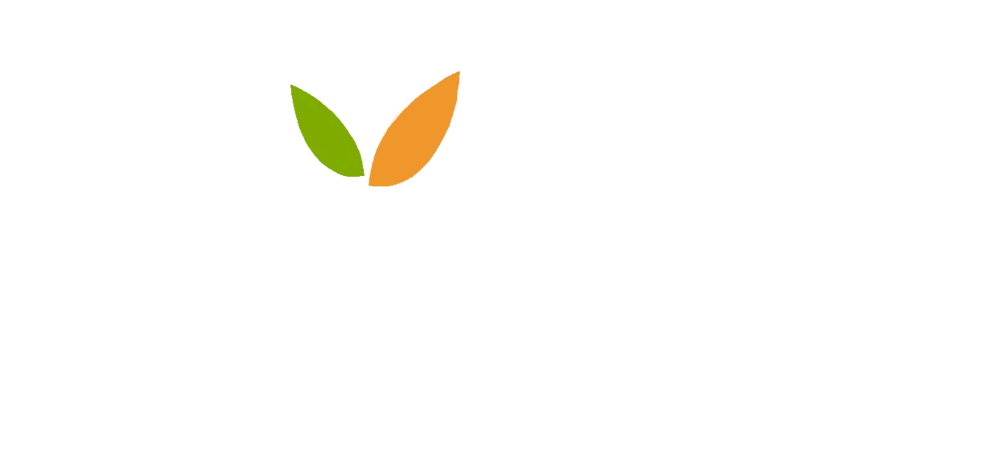 Somers Psychotherapy