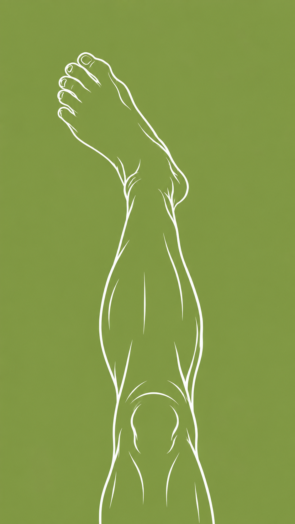 ChatGPT Image Sep 25, 2026, 02_15_35 PM.png