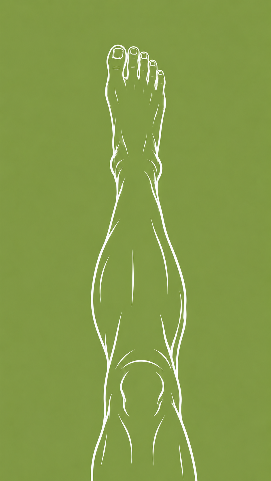 ChatGPT Image Sep 25, 2026, 02_17_46 PM.png