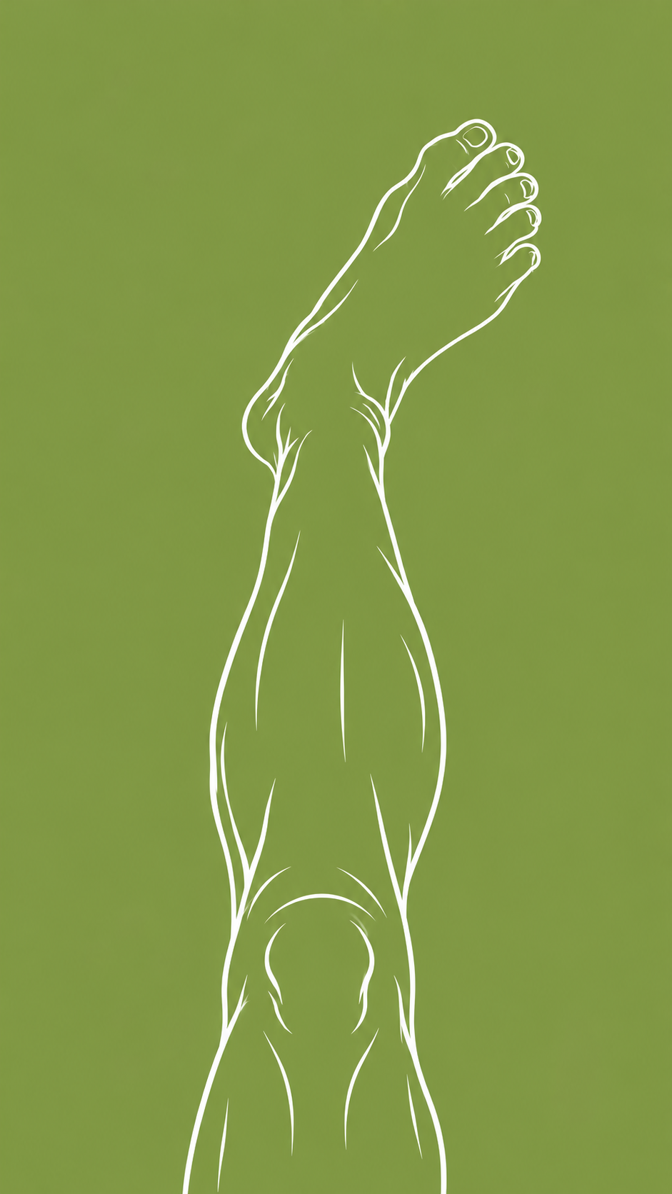 ChatGPT Image Sep 25, 2026, 02_15_35 PM.png