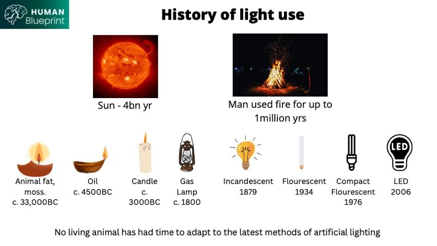 Slide25.jpeg